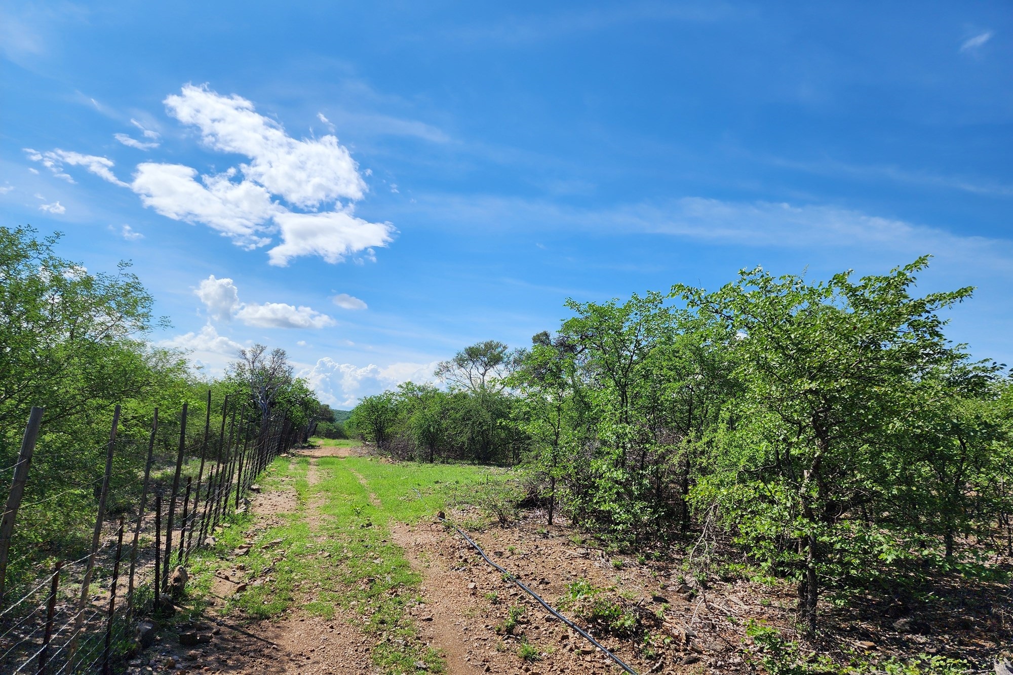 Farm for sale in Mopane, Musina