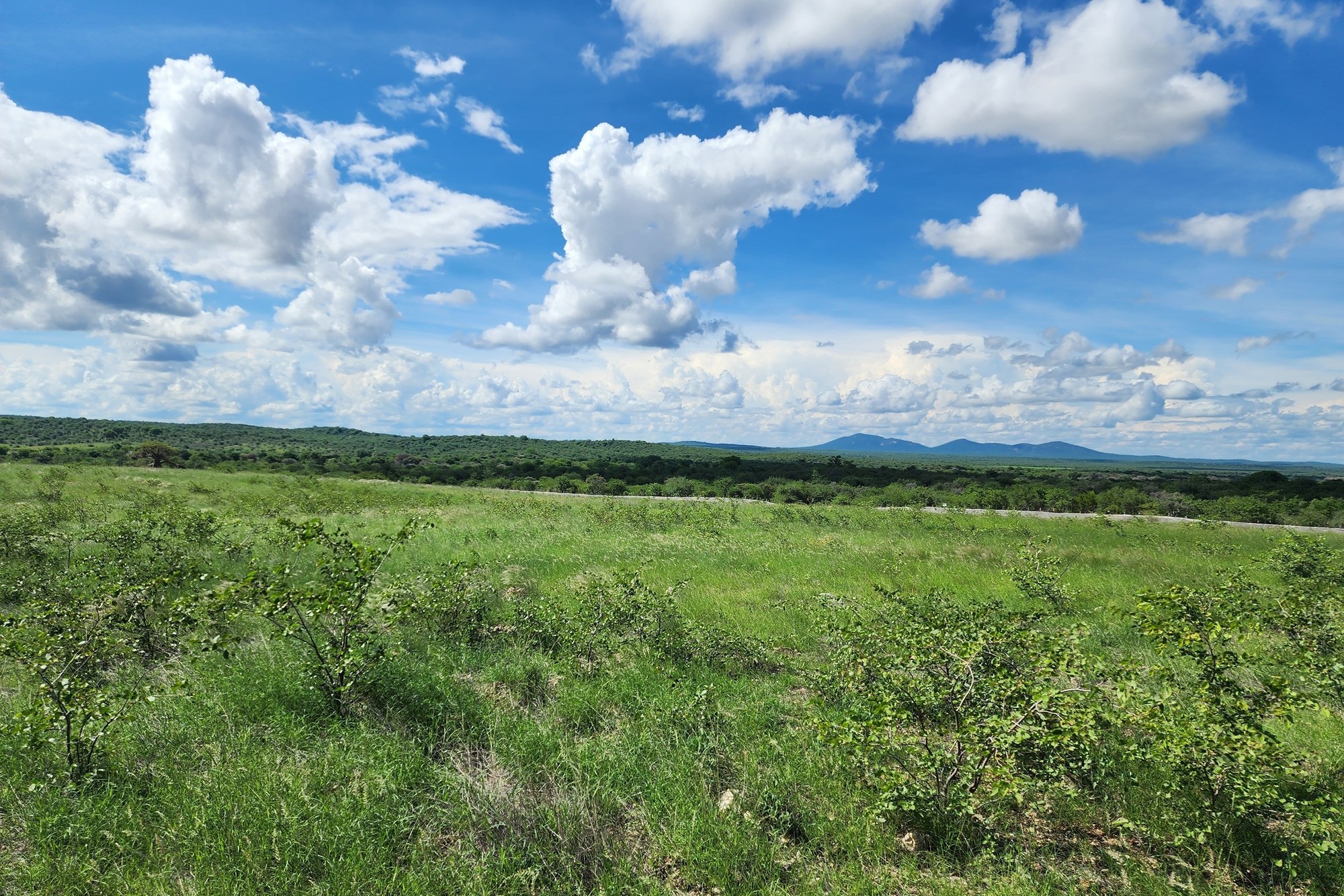 Farm for sale in Mopane, Musina