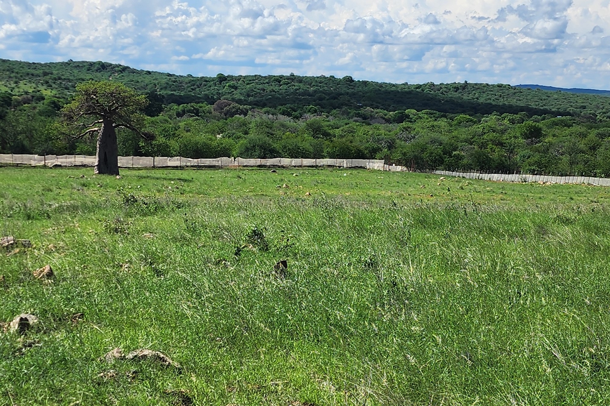 Farm for sale in Mopane, Musina