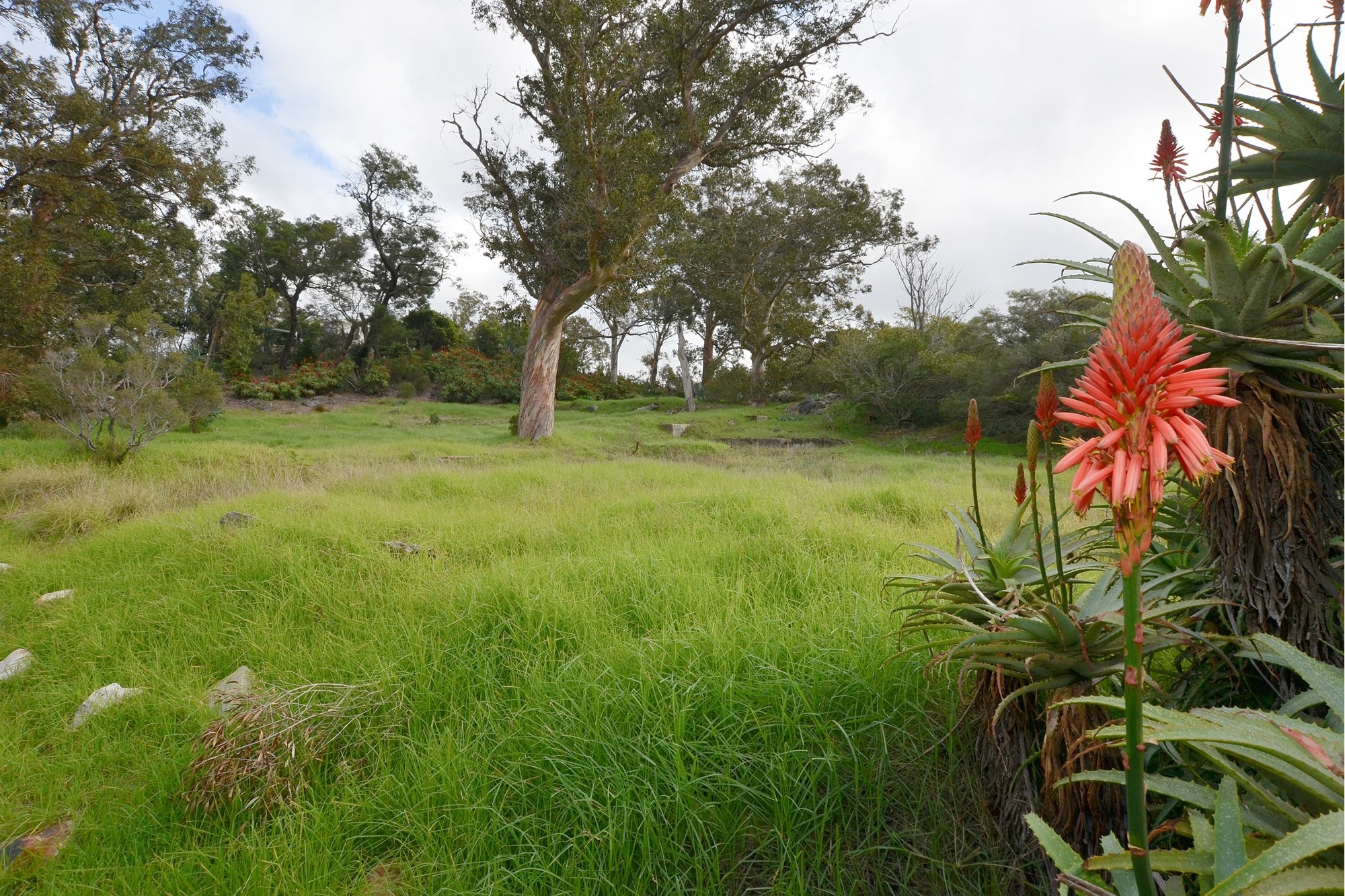 Vacant Land for sale in Bainskloof, Wellington, 4276 m²