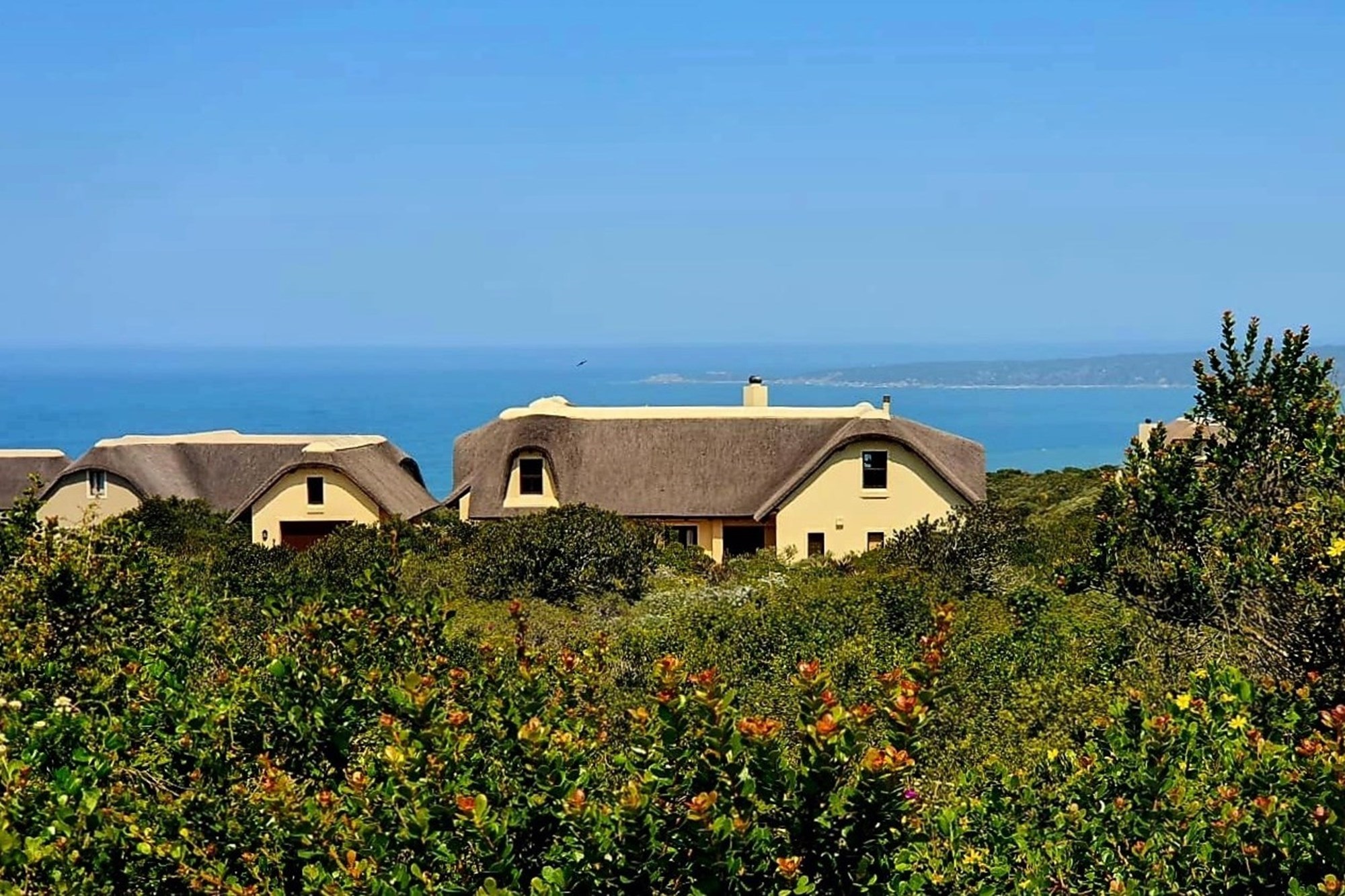 Elegant Eco-Estate Home in Western Cape. Close to Iconic Mossel Bay