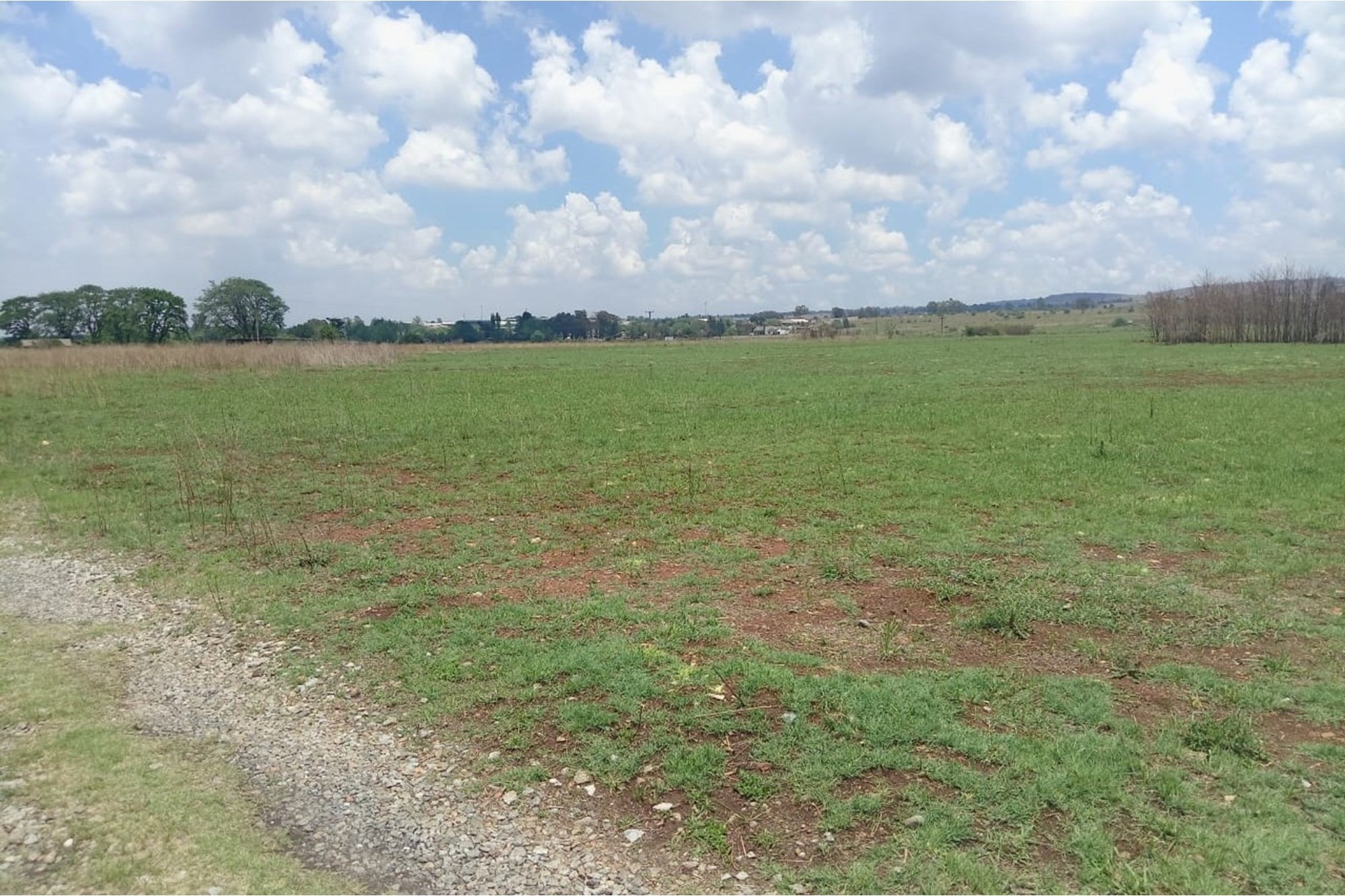 Charming Farmhouse Retreat in Witkop Meyerton Awaits You