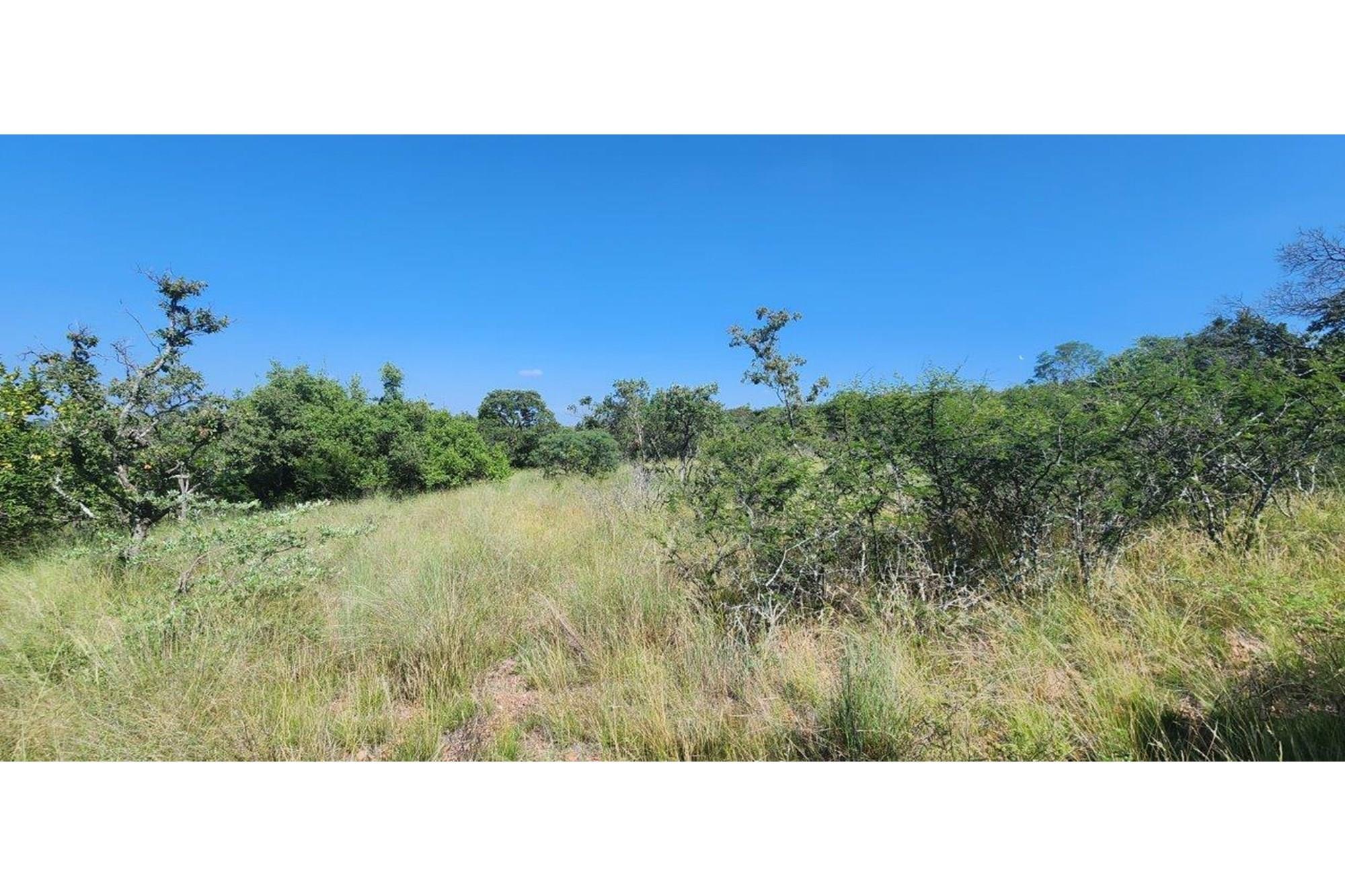 Intaba-Indle - Vacant land - Tar Roads - Indigenous trees - Dam and Swimming Pool