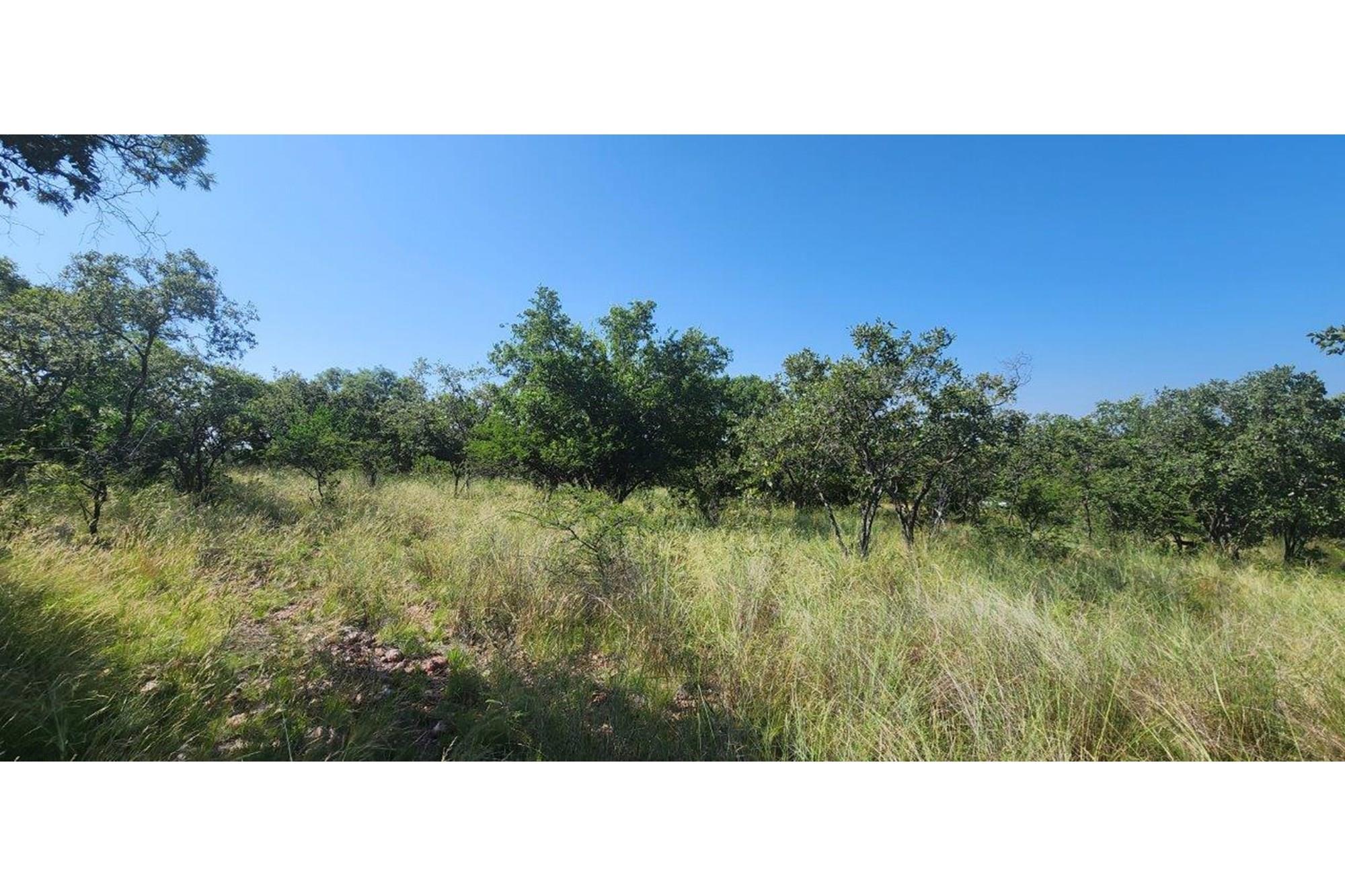 Intaba-Indle - Vacant land - Tar Roads - Indigenous trees - Dam and Swimming Pool