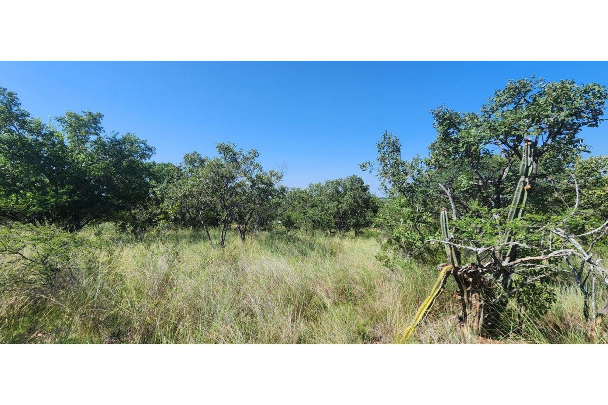Intaba-Indle - Vacant land - Tar Roads - Indigenous trees - Dam and Swimming Pool