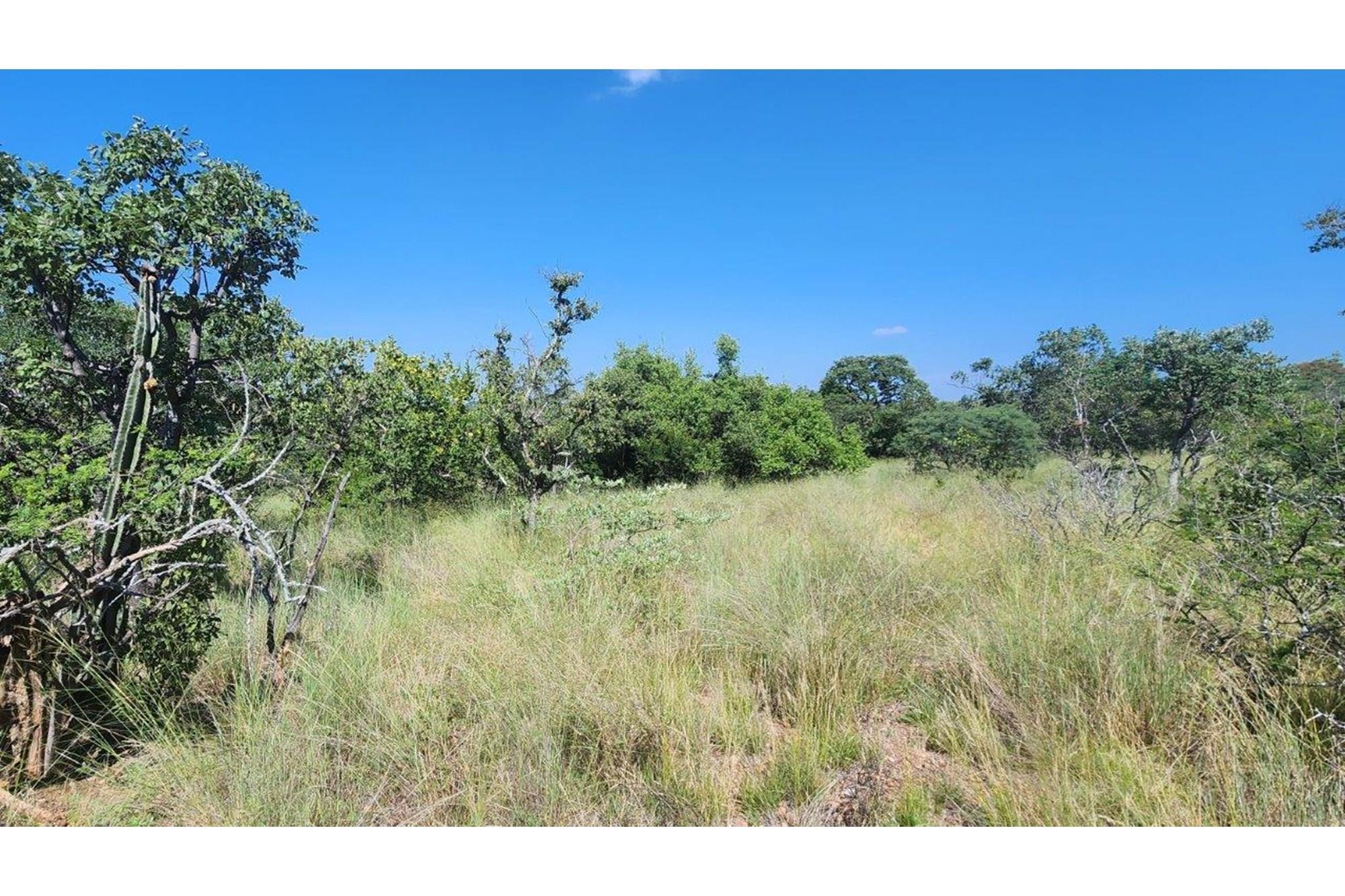 Intaba-Indle - Vacant land - Tar Roads - Indigenous trees - Dam and Swimming Pool