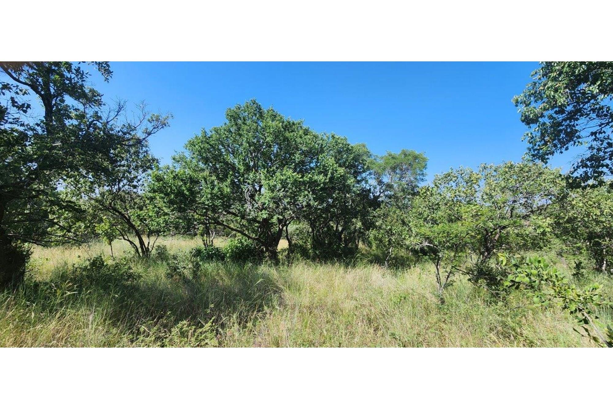 Intaba-Indle - Vacant land - Tar Roads - Indigenous trees - Dam and Swimming Pool