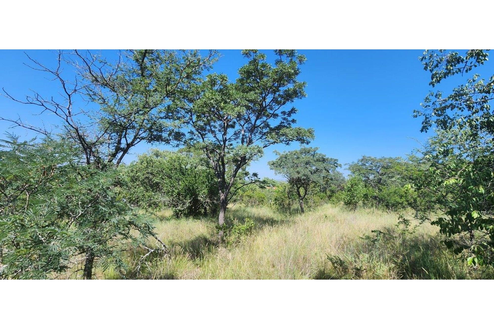 Intaba-Indle - Vacant land - Tar Roads - Indigenous trees - Dam and Swimming Pool