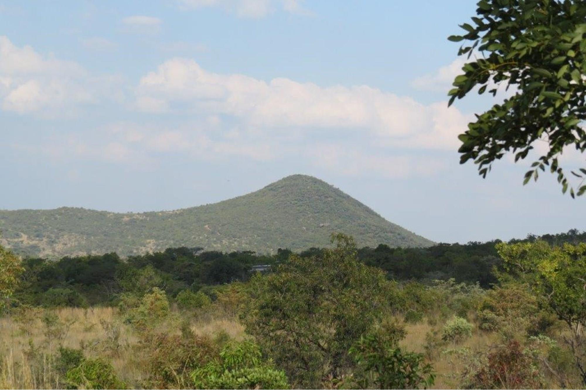 Zwartkloof Game Reserve - Beautiful private stand - mountain views and indigenous trees.
