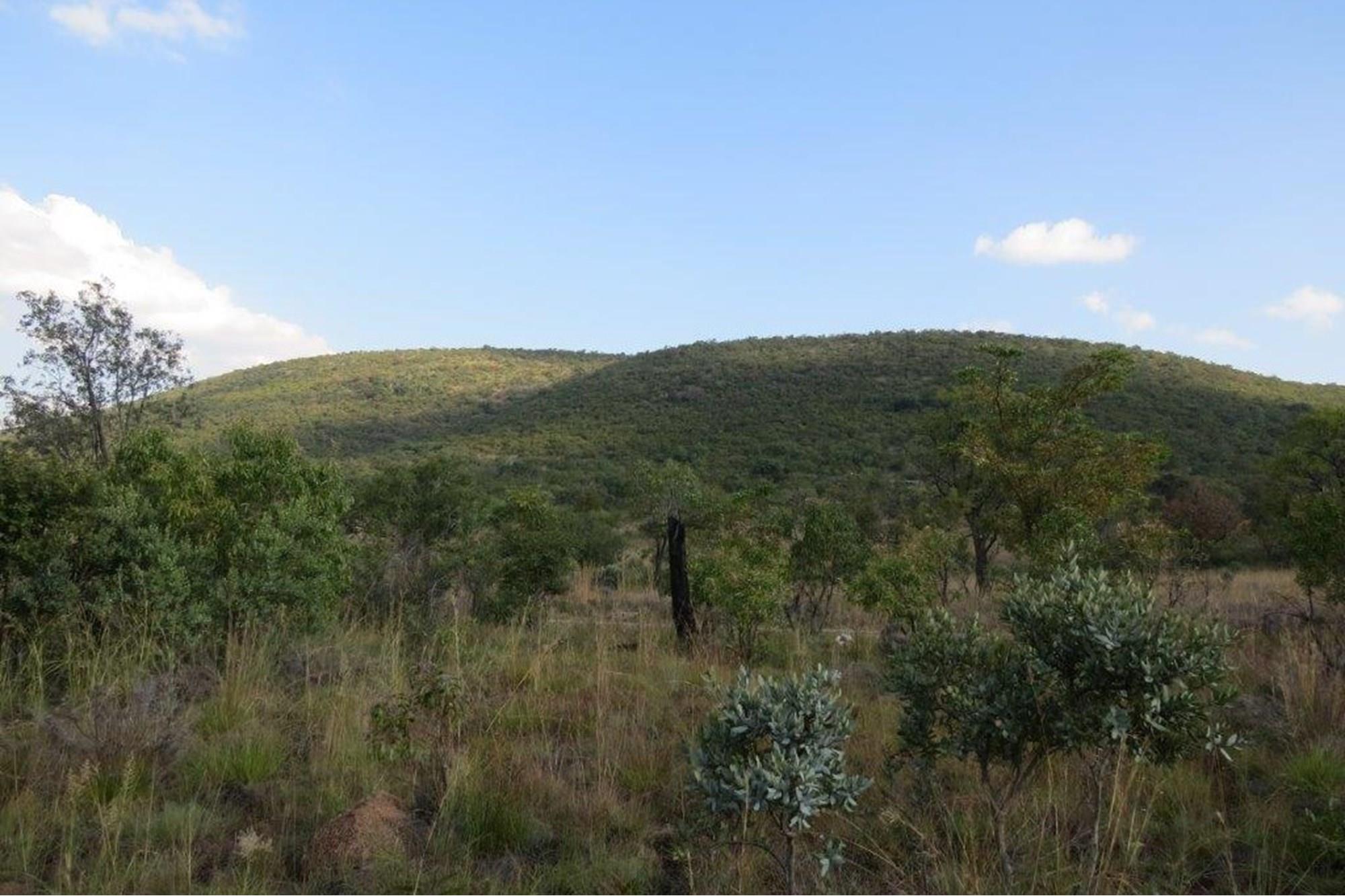 Zwartkloof Game Reserve - Beautiful private stand - mountain views and indigenous trees.
