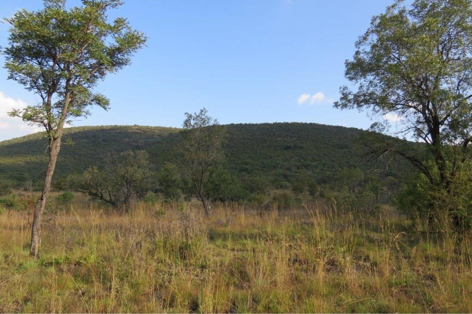 Zwartkloof Game Reserve - Beautiful private stand - mountain views and indigenous trees.