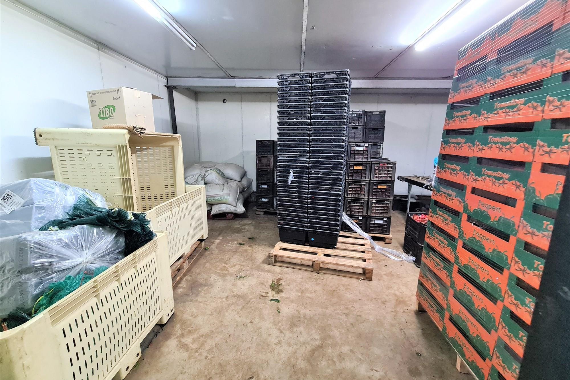 Diversified Agricultural Haven Near Komatipoort 338Ha Sugarcane and Cash Crop Farm