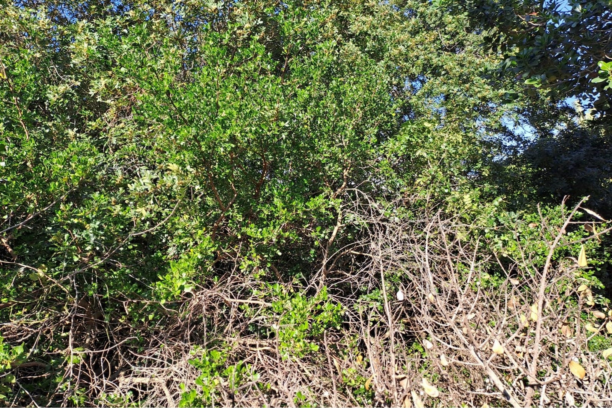 Vacant Land / Plot For Sale in Aston Bay