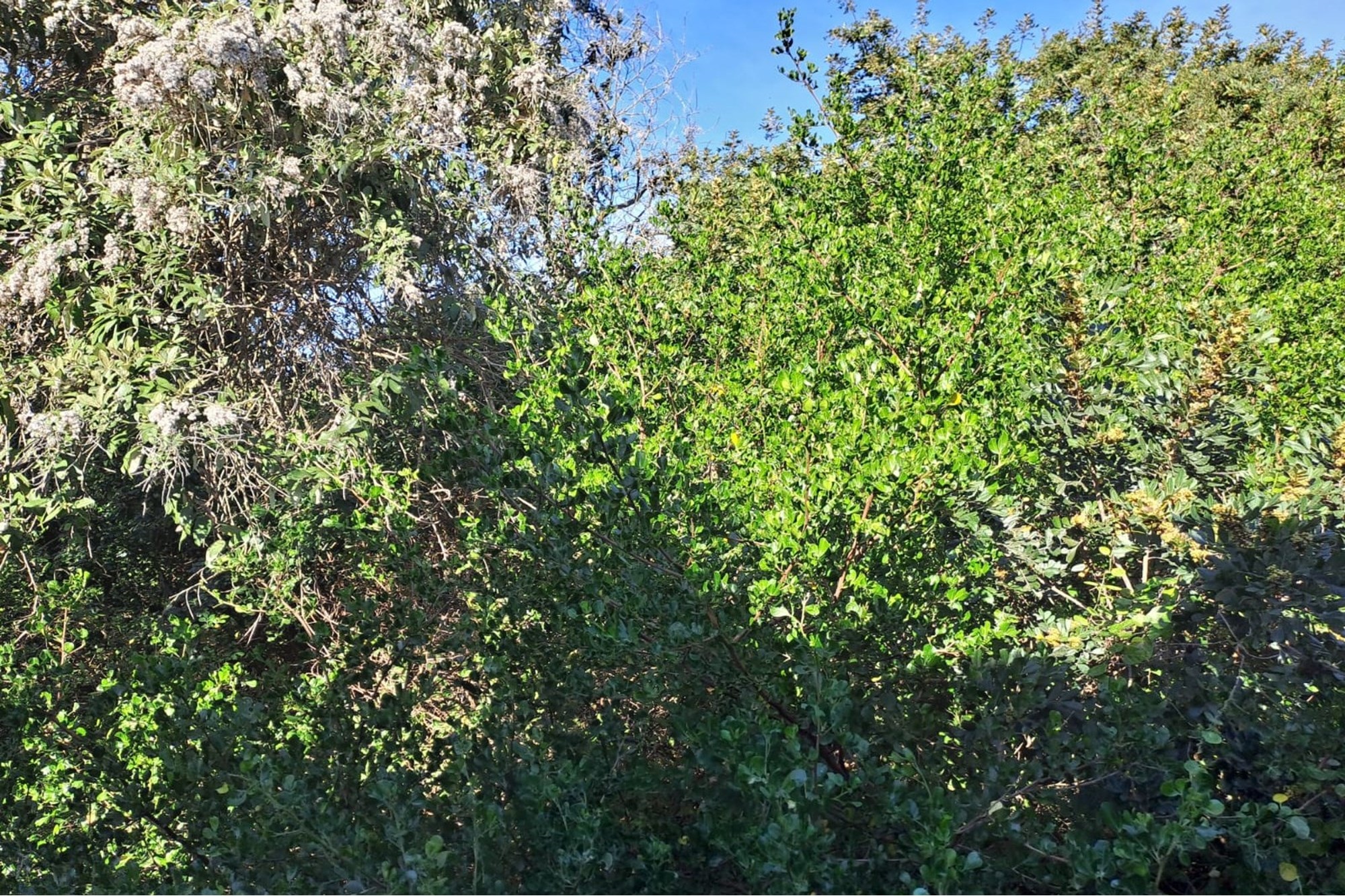 Vacant Land / Plot For Sale in Aston Bay