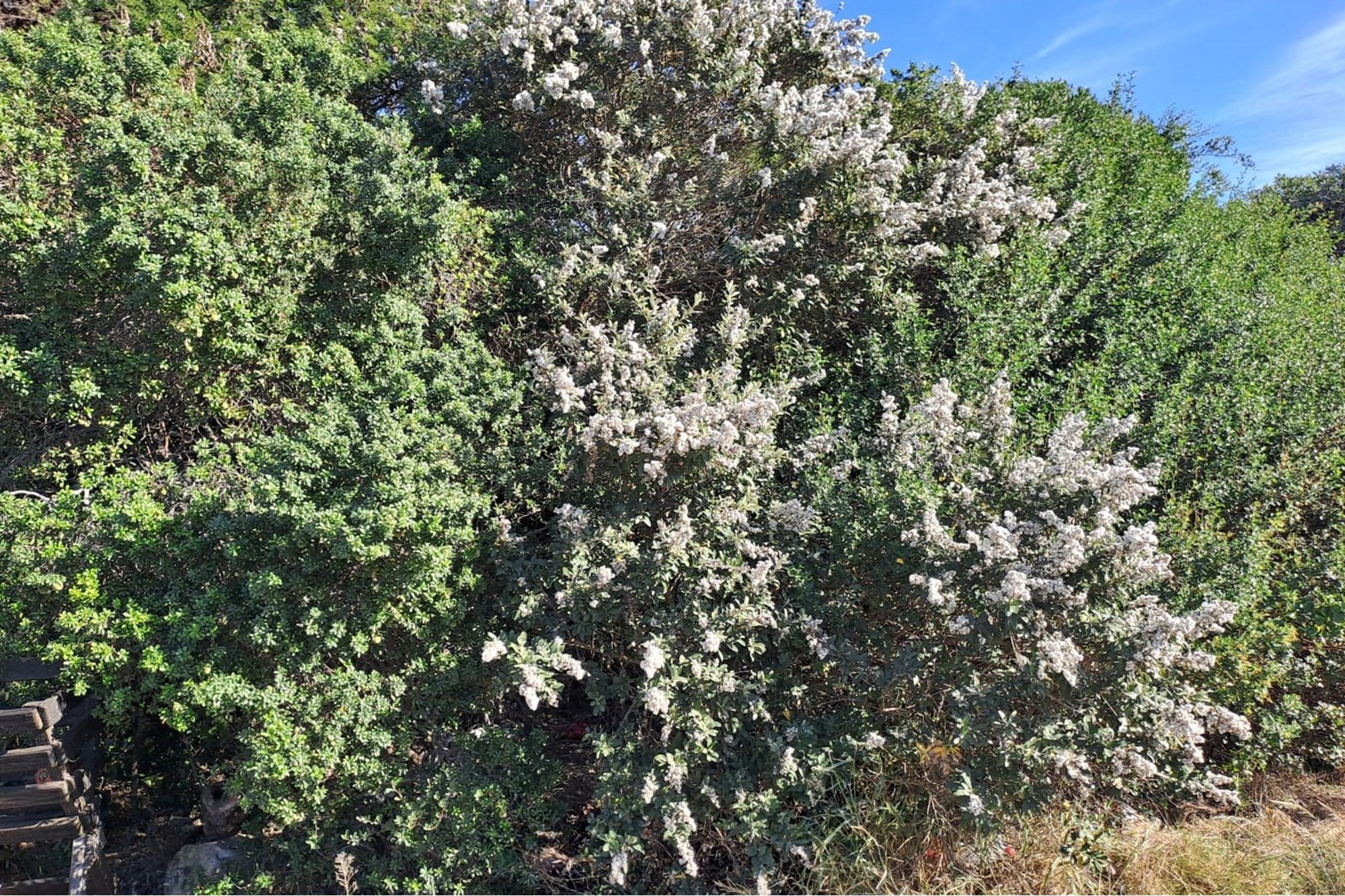 Vacant Land / Plot For Sale in Aston Bay
