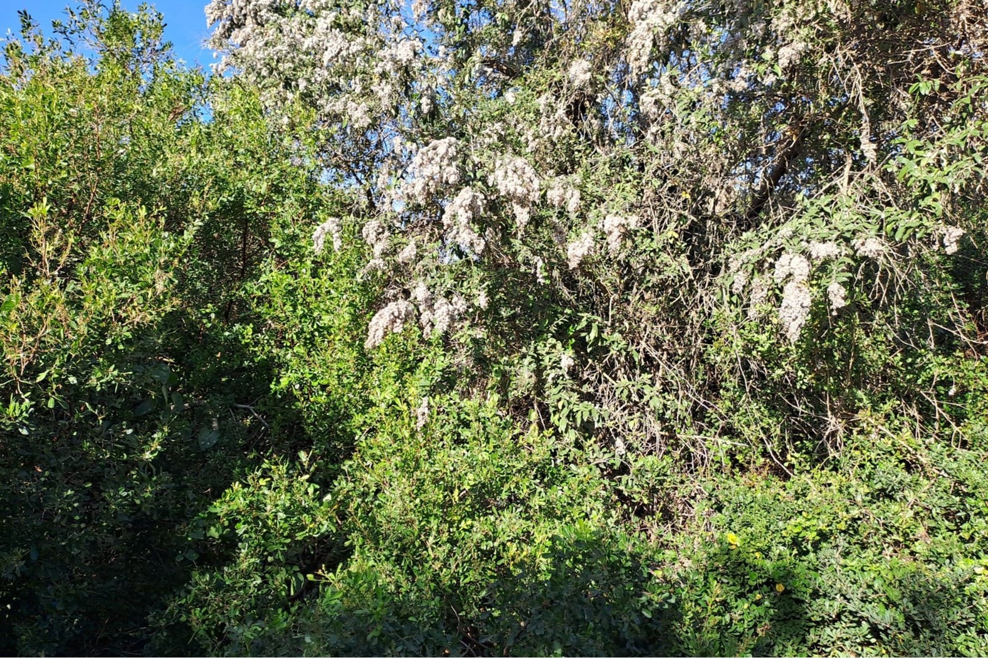 Vacant Land / Plot For Sale in Aston Bay