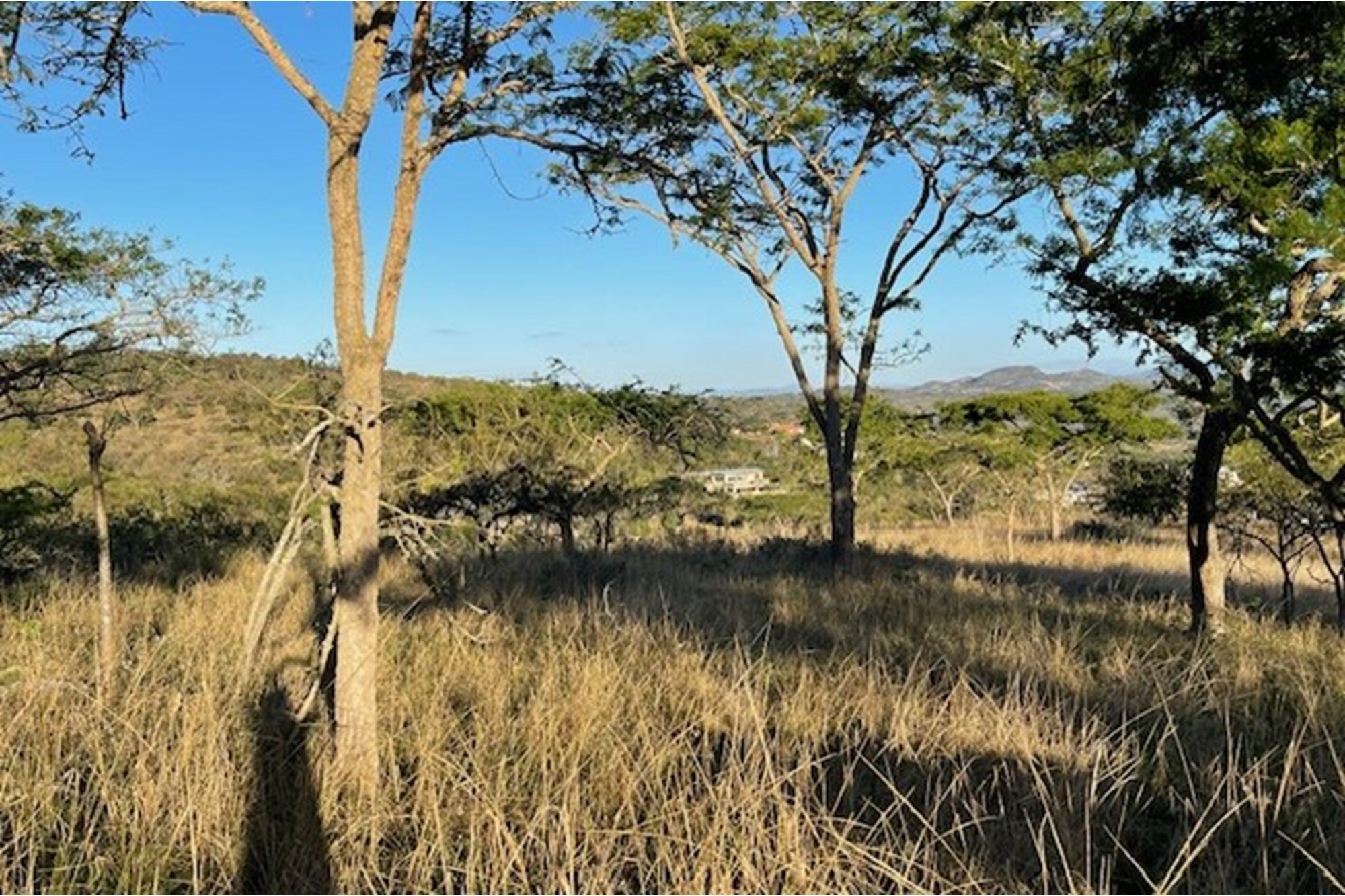 "Rare Land Opportunity in Wild Fig Estate, South Africa"