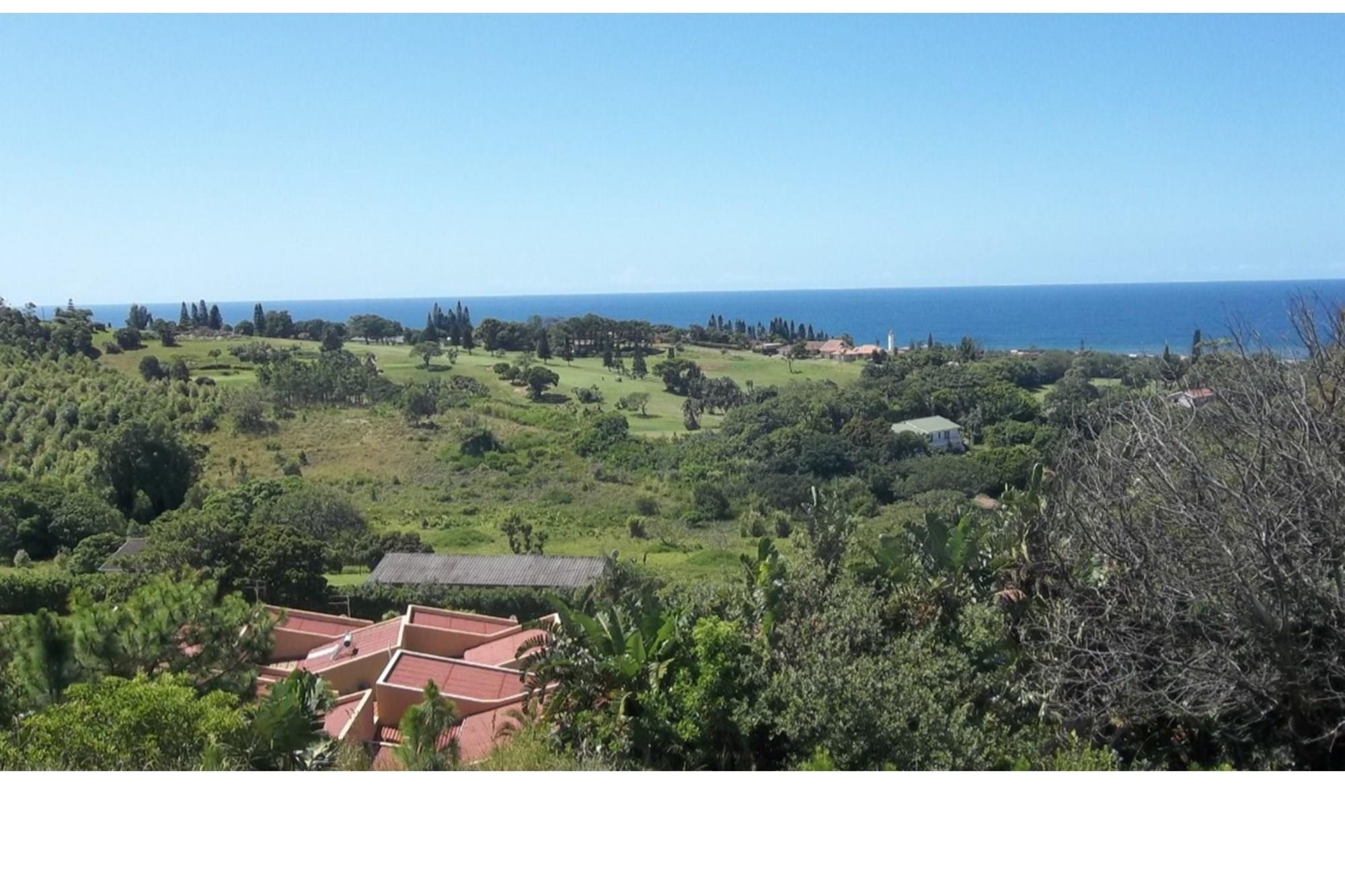 A Jewel in The South Coast