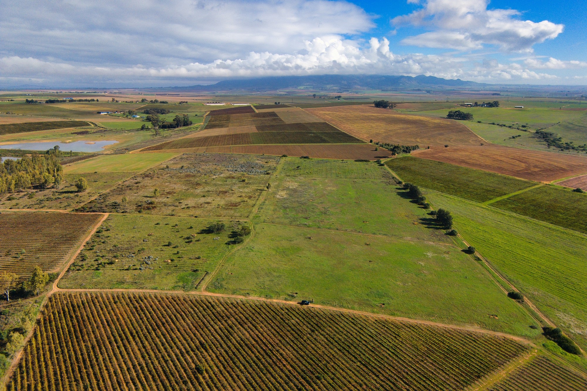 Cape Winelands Farm Opportunity