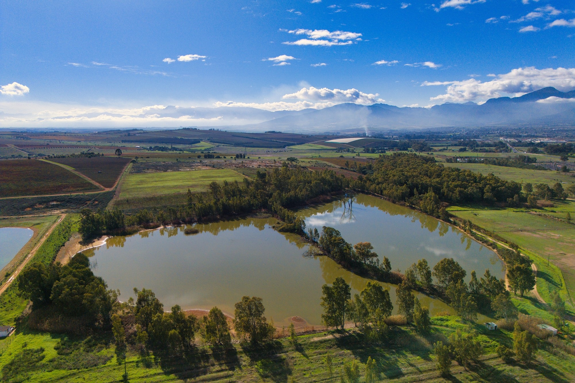 Cape Winelands Farm Opportunity