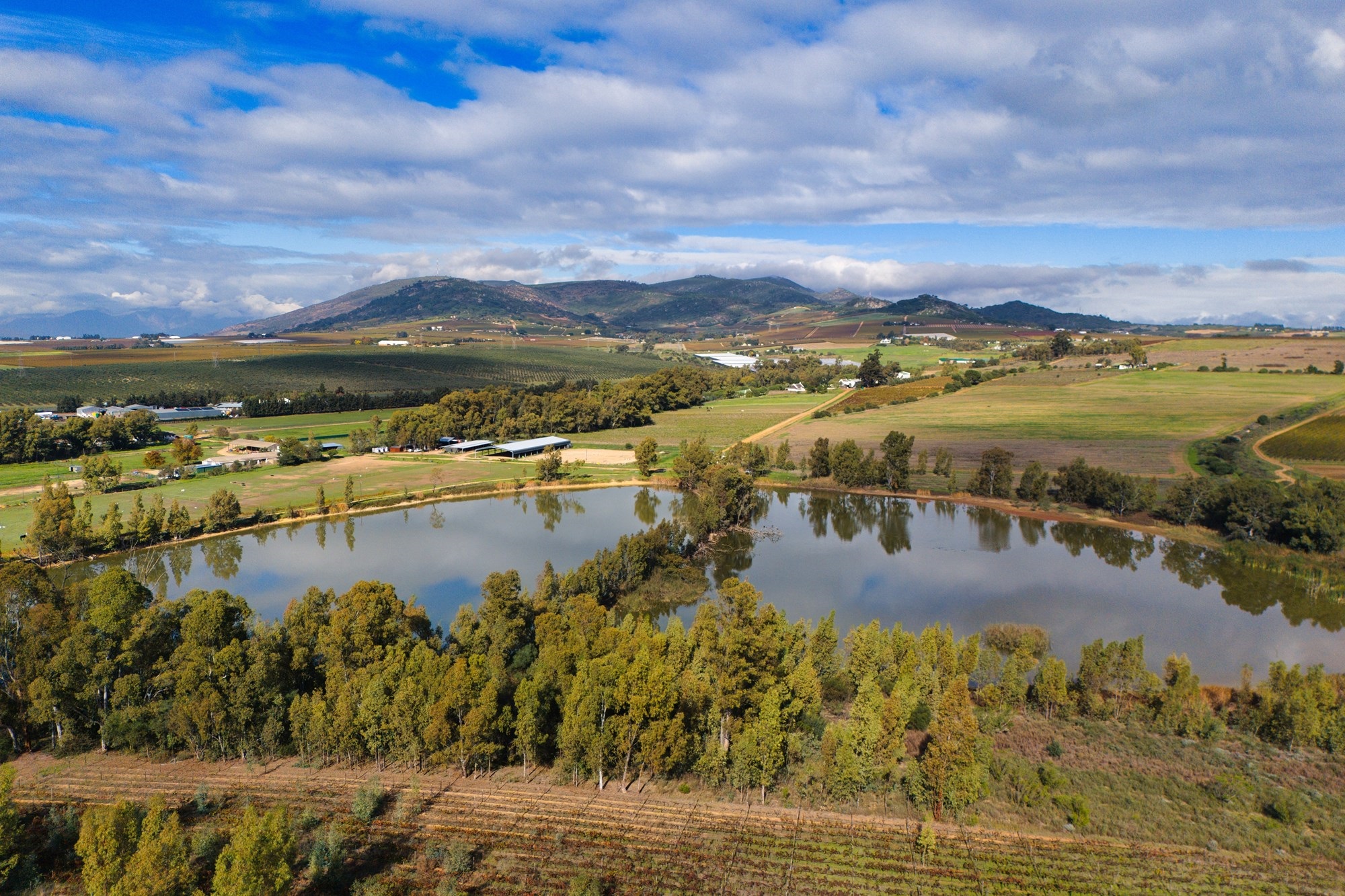 Cape Winelands Farm Opportunity