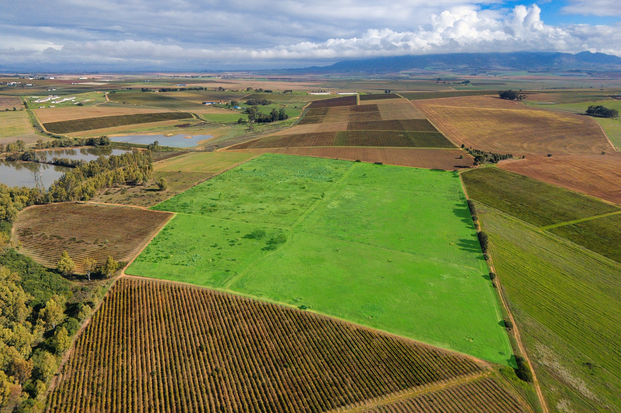 Cape Winelands Farm Opportunity