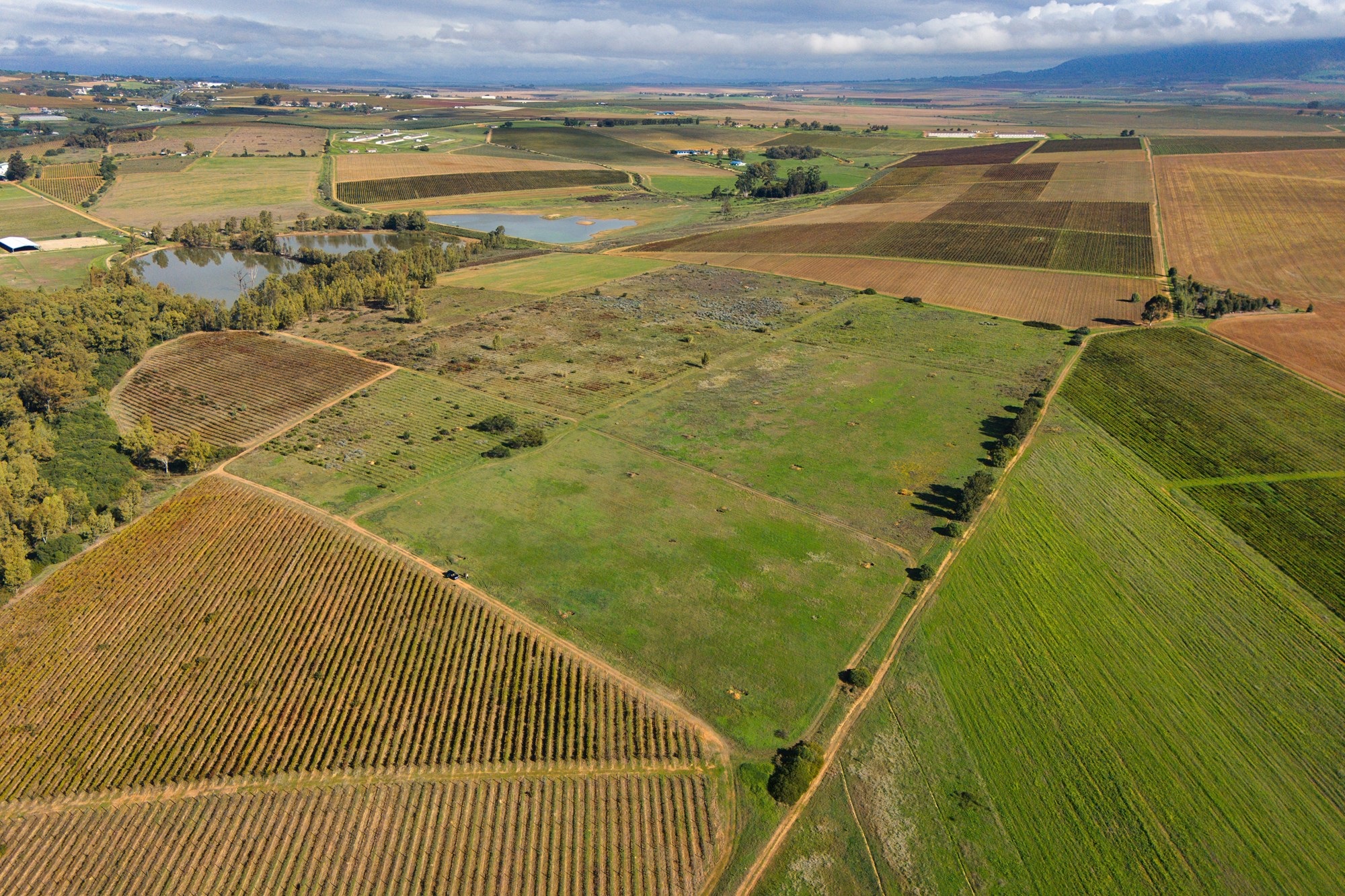 Cape Winelands Farm Opportunity