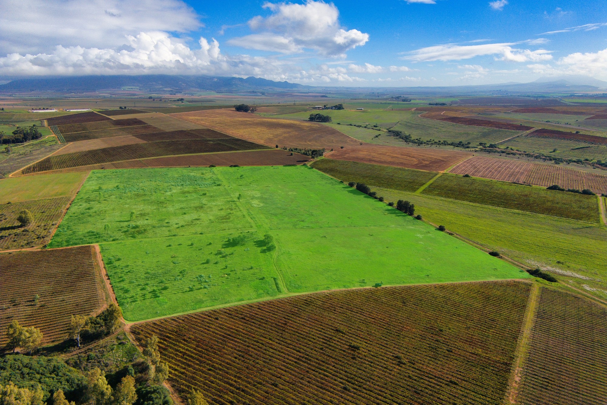 Cape Winelands Farm Opportunity