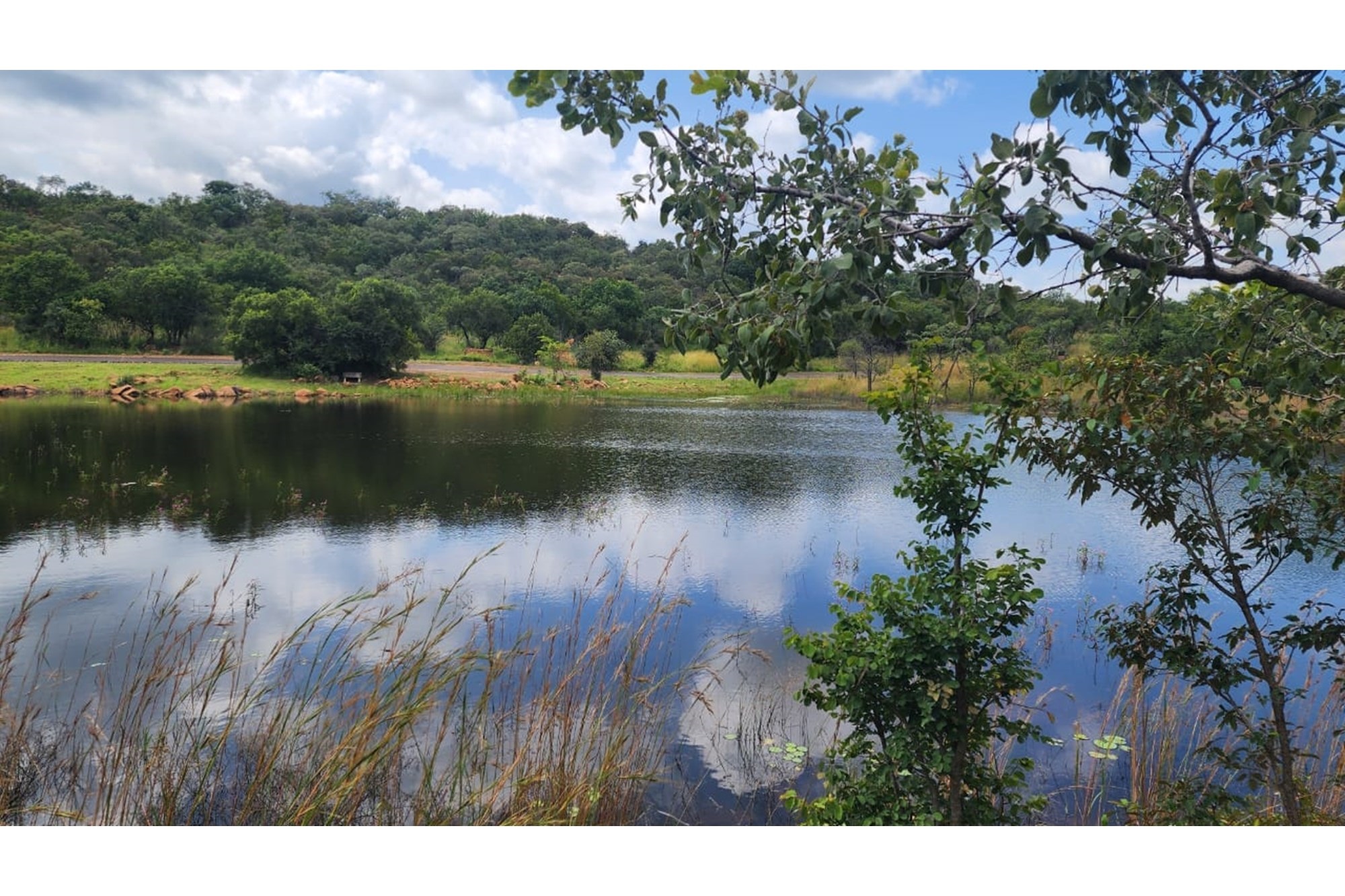 Zwartkloof Private Game Reserve - North-East facing stand with Dam views