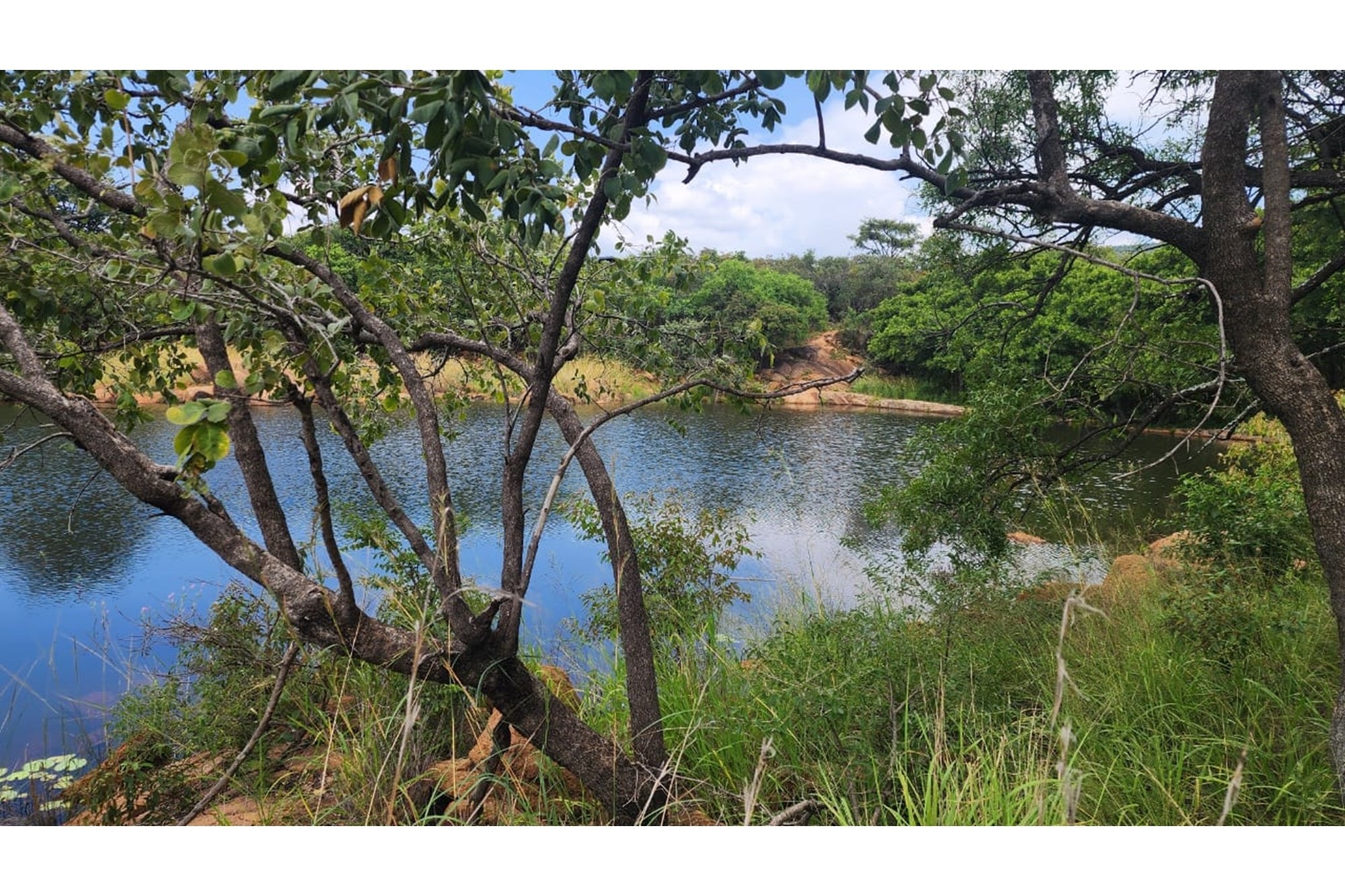 Zwartkloof Private Game Reserve - North-East facing stand with Dam views