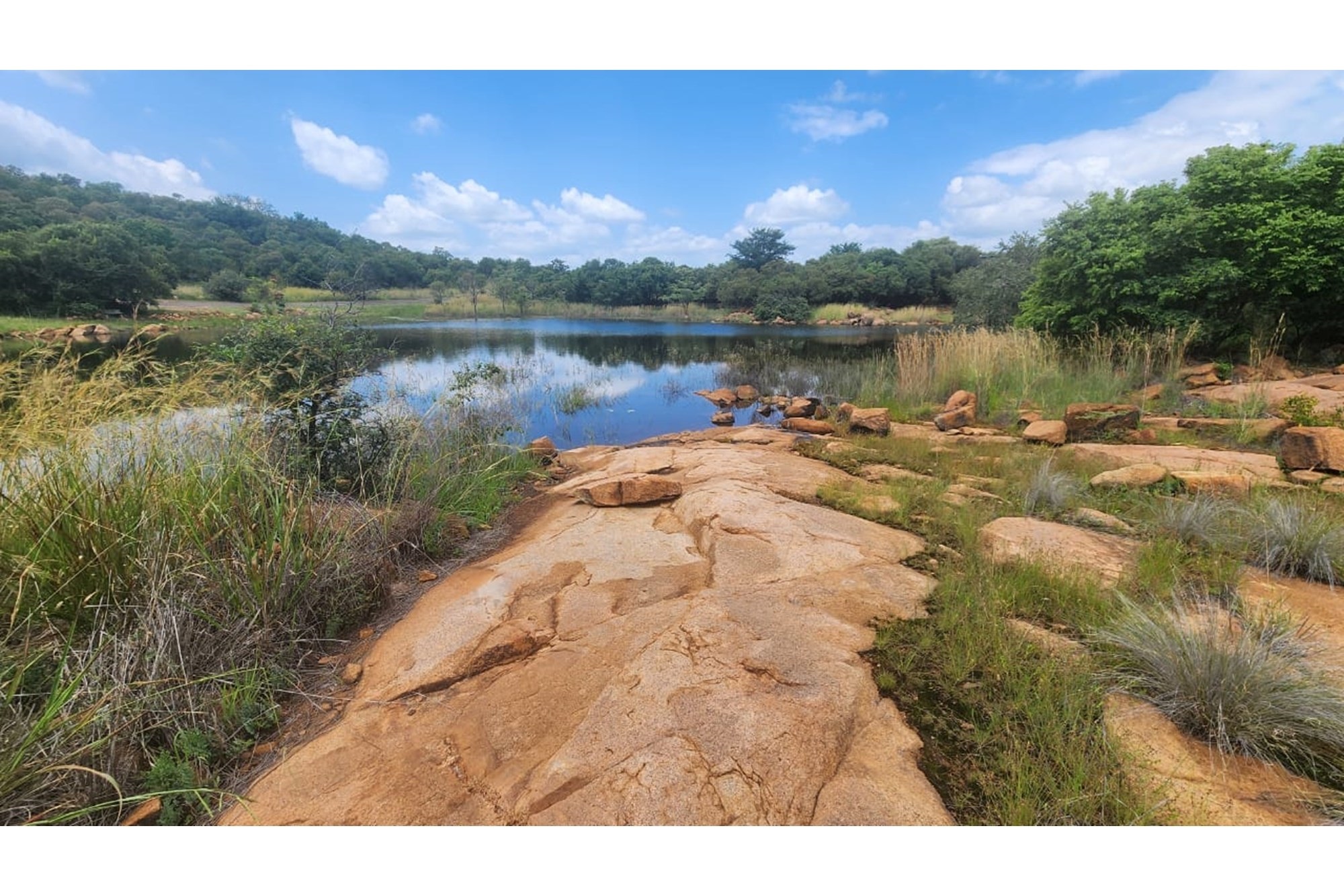 Zwartkloof Private Game Reserve - North-East facing stand with Dam views