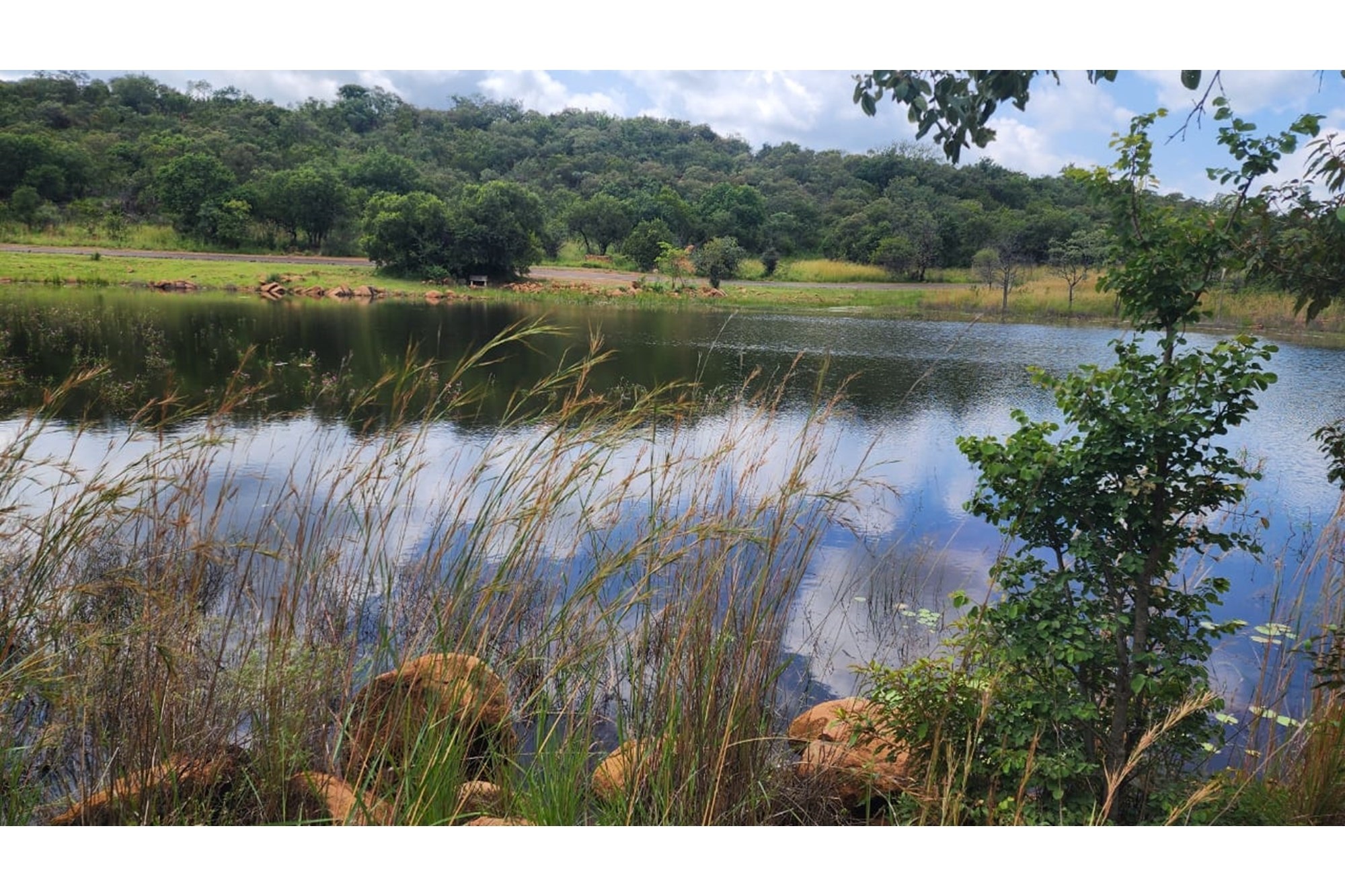 Zwartkloof Private Game Reserve - North-East facing stand with Dam views