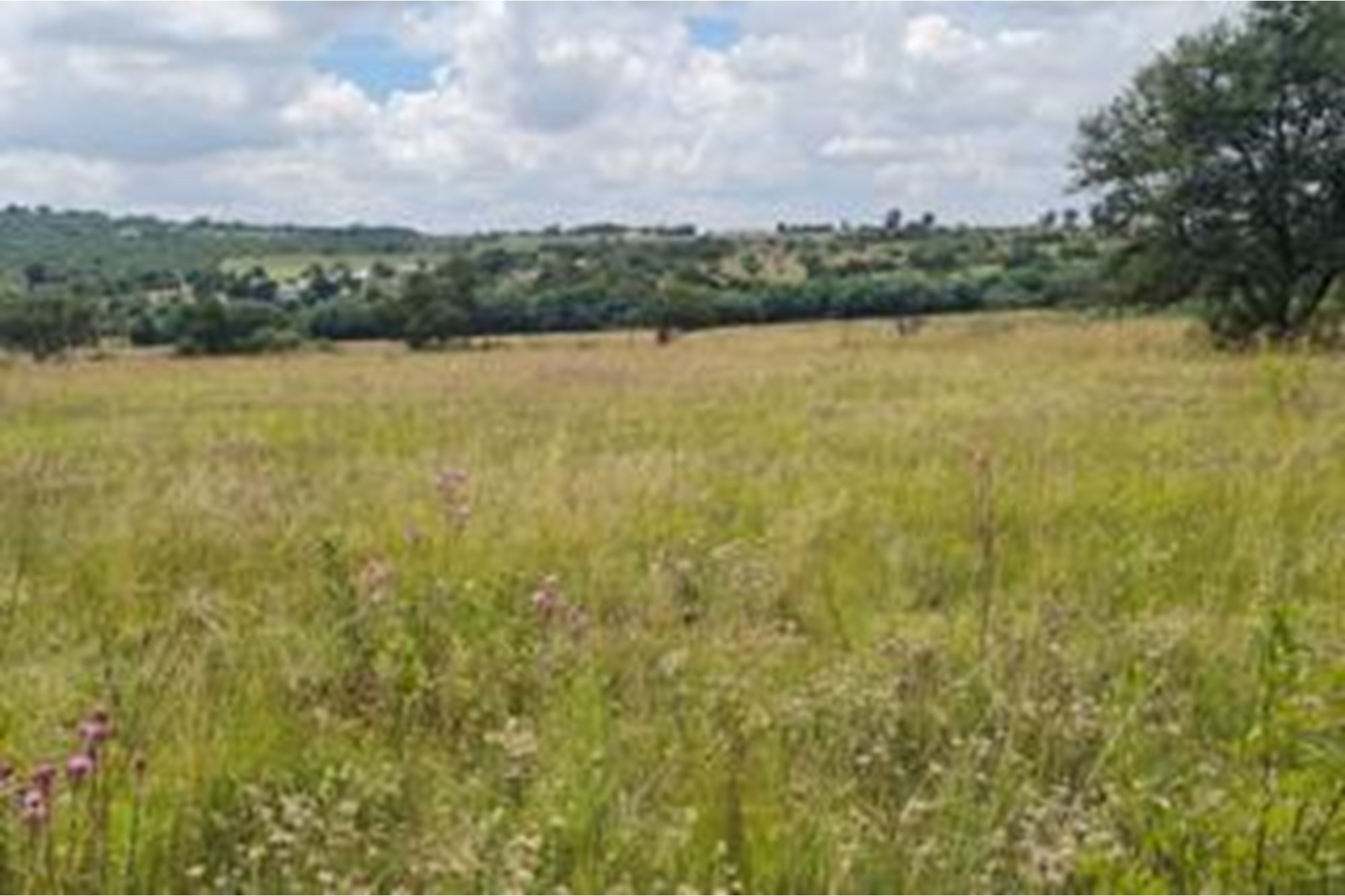Exclusive Vacant Land Property for Sale in Letamo Game Farm situated in Cradle of Humankind
