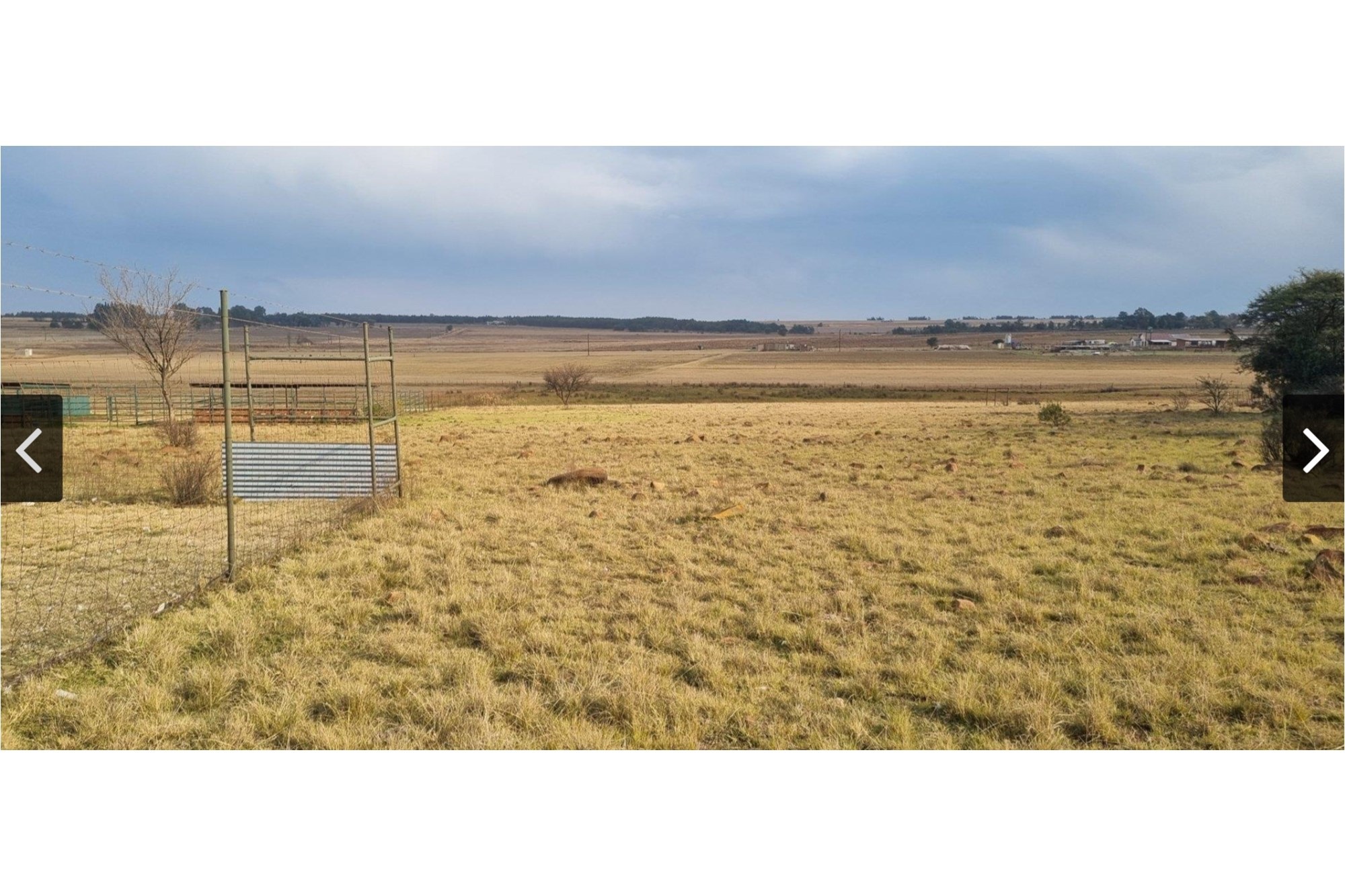2 Houses 24 Ha Farm with ideal Cattle or Piggery Facilities