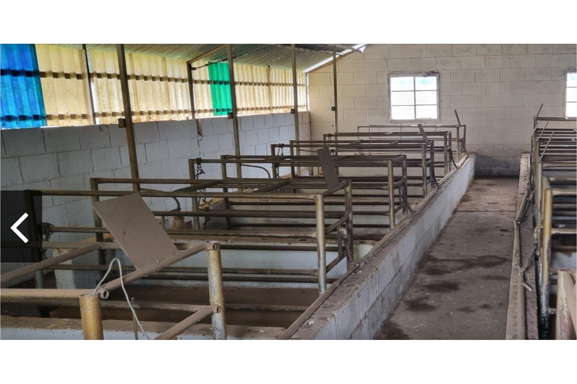 2 Houses 24 Ha Farm with ideal Cattle or Piggery Facilities