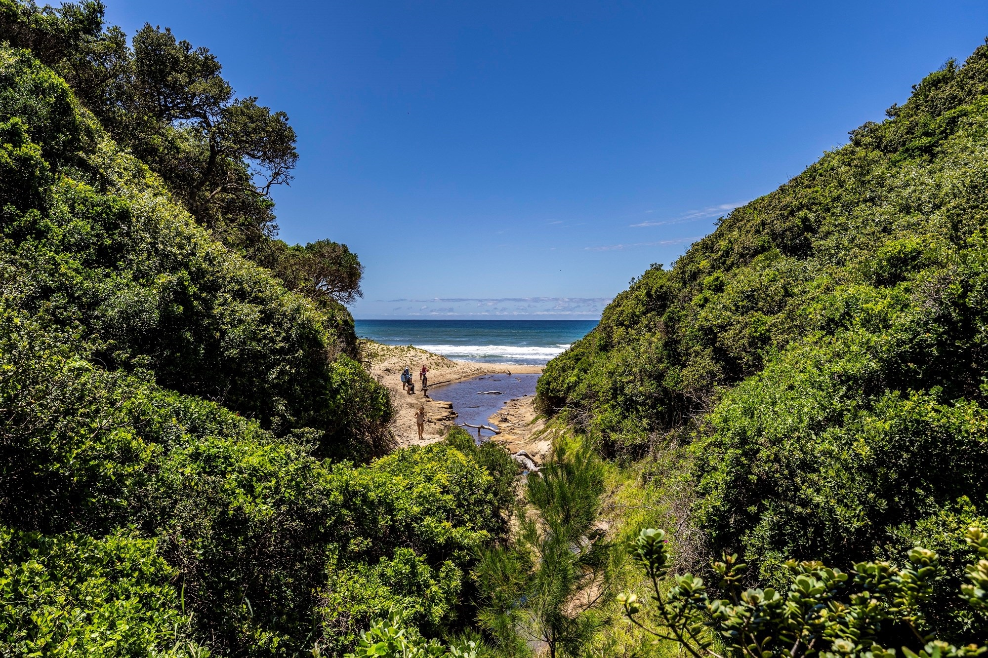 Discover the Ultimate Coastal Living at Cypraea Sands Estate - Come Build Your Dream Home!!