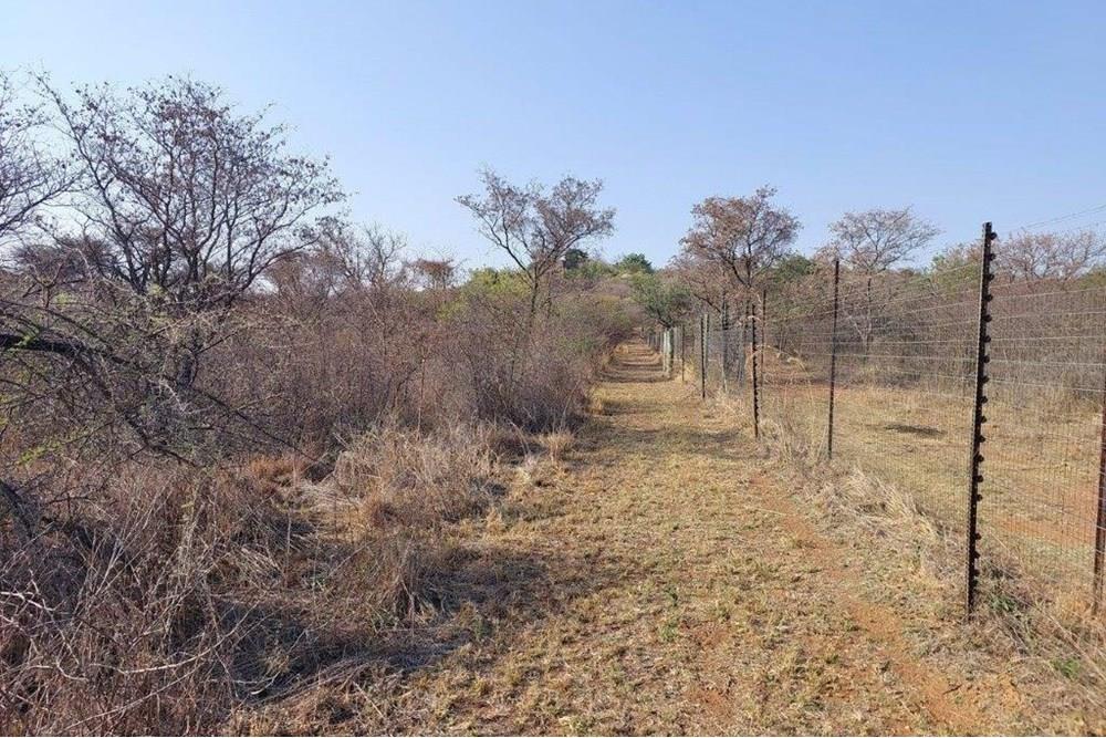 Vacant land with endless possibilities