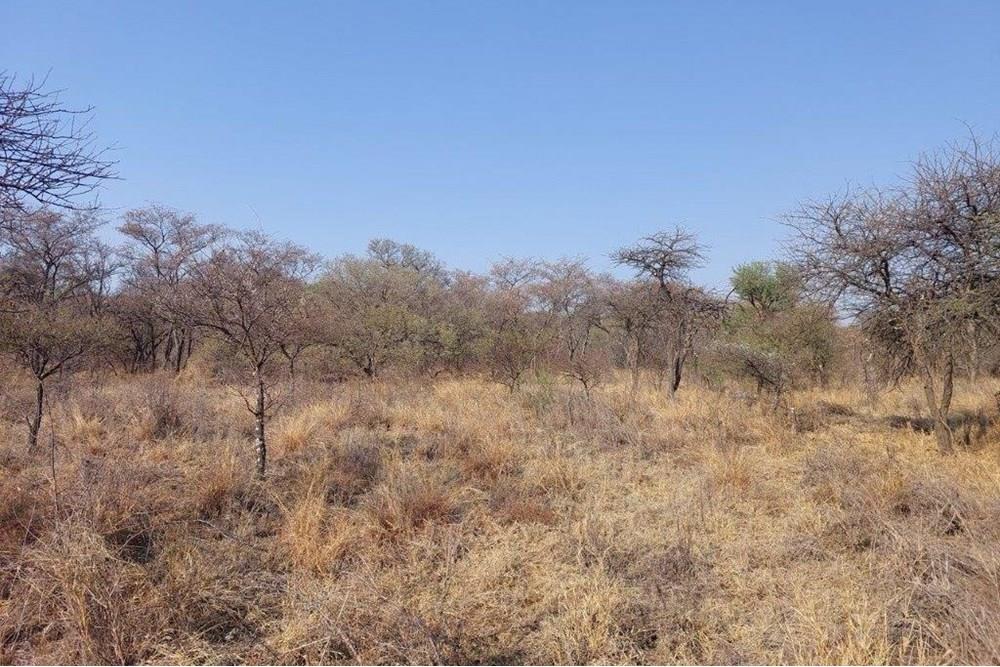 Vacant land with endless possibilities