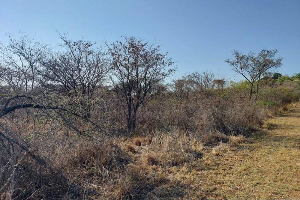 Vacant land with endless possibilities