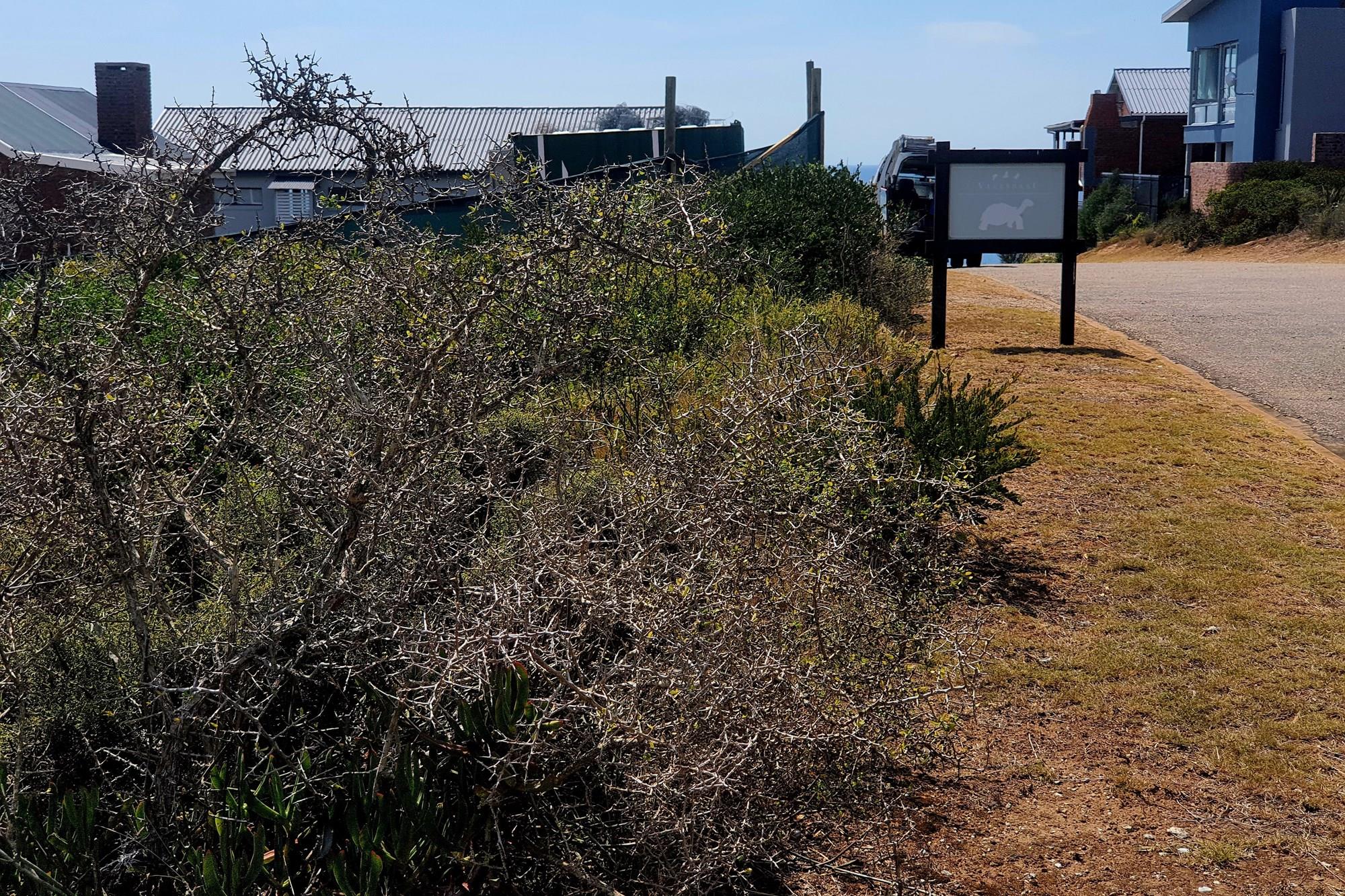 Seaside tranquility meets vibrant community in prime location