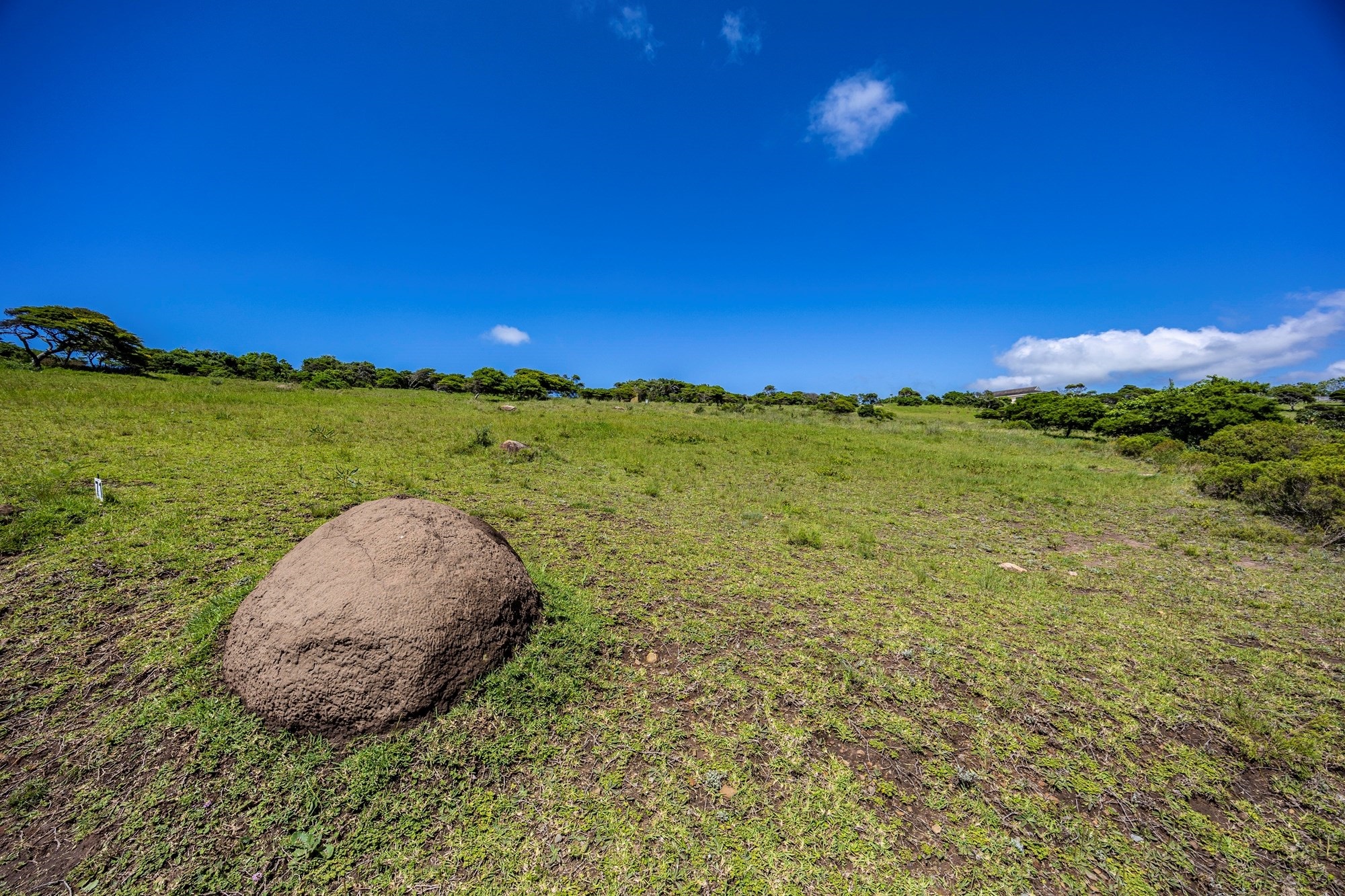 Vacant Land for sale in Cypraea Sands Estate, East London, Cypraea Sands Estate, 71 Nautilus Avenue, Cypraea Sands Estate, East London, Eastern Cape, 1223 m²