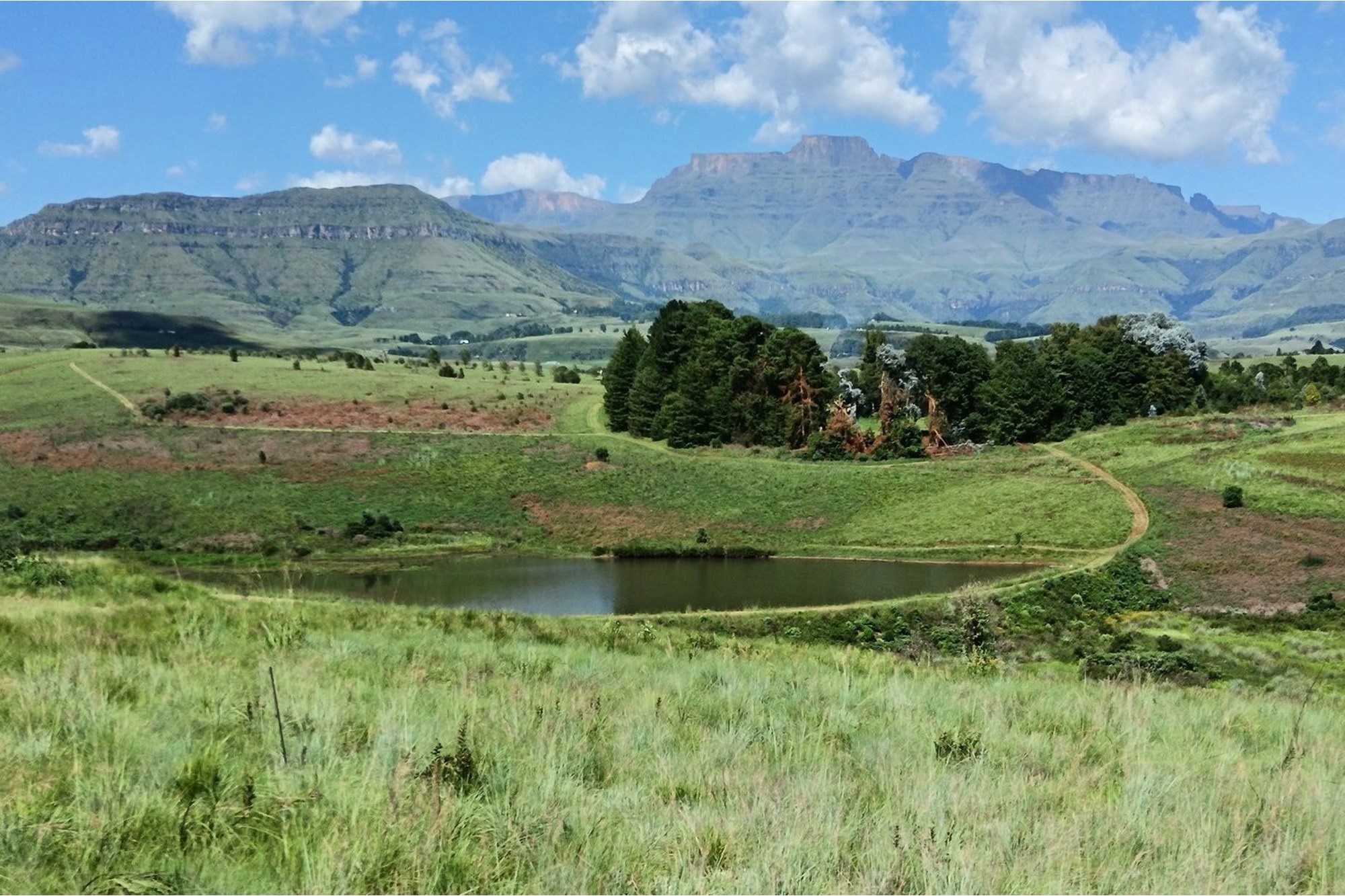 Inkungu Homestead - Elegant Country Retreat in Champagne Valley, Drakensberg