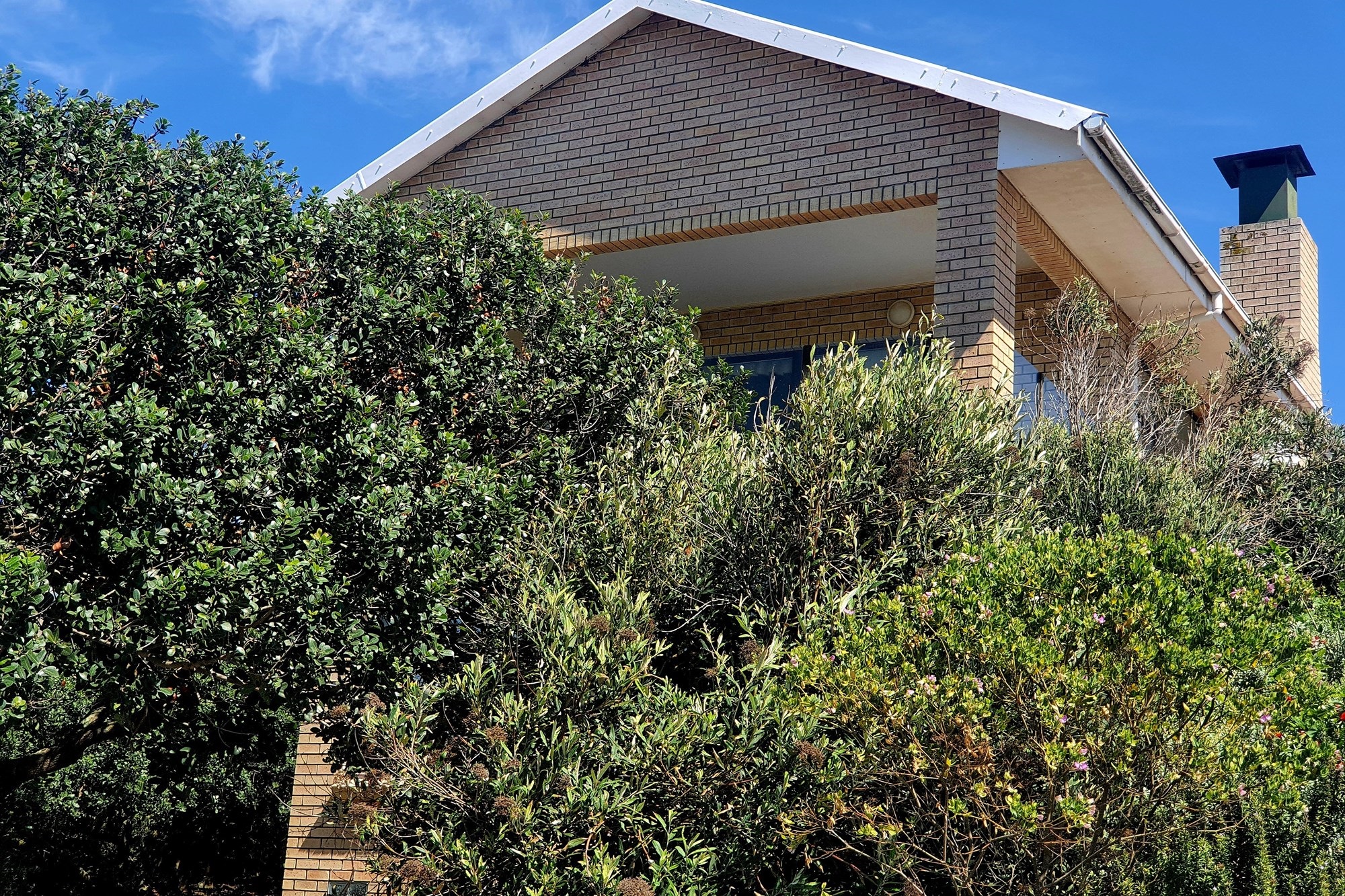 Hidden Coastal Gem Surrounded by Nature