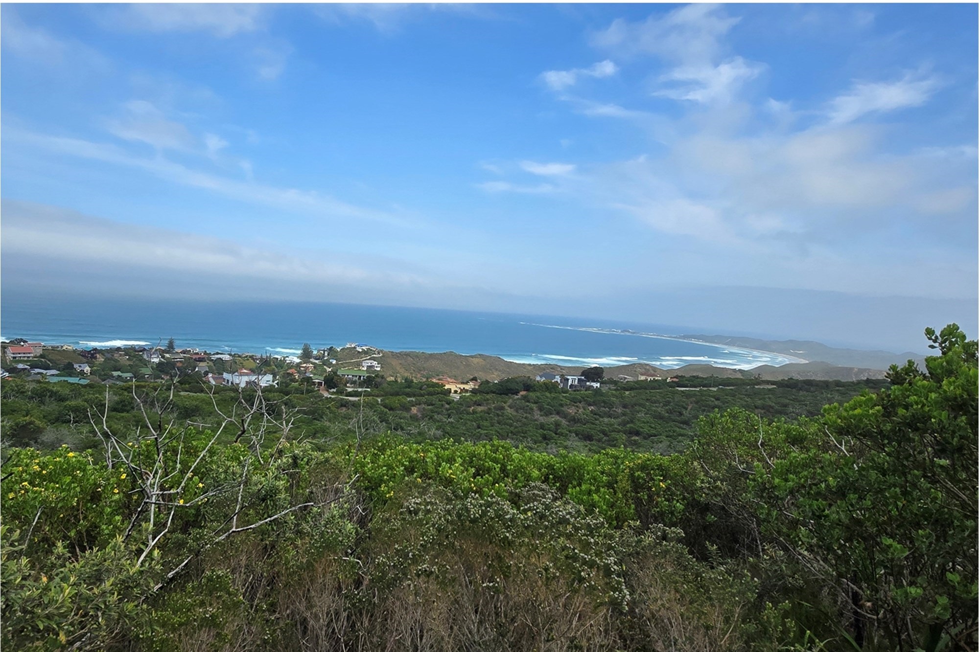 Panoramic Ocean-View Stand in Brenton-on-Sea’s Prestigious Western Head Conservancy