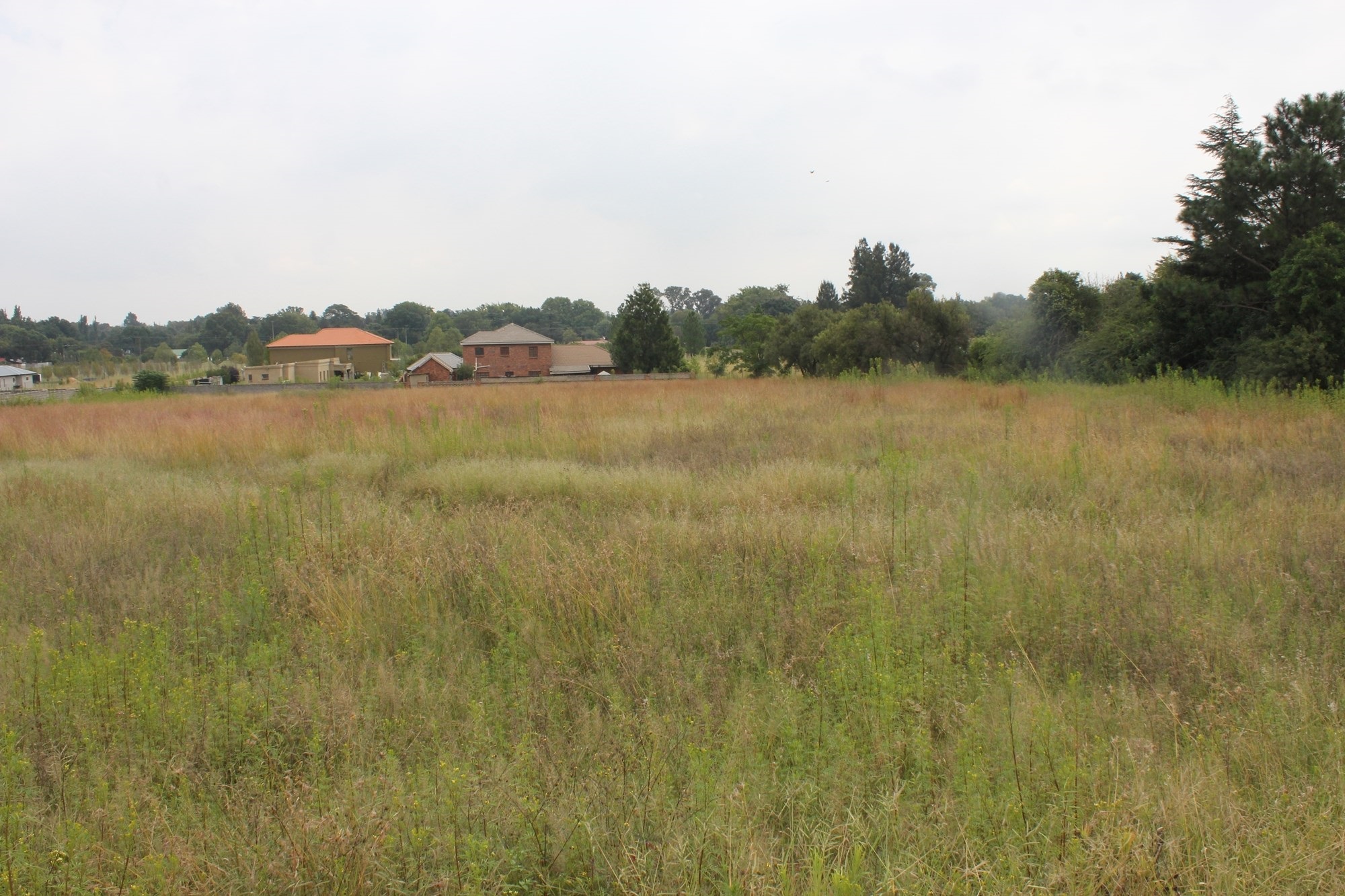 Wonderful opportunity to build your future dream home