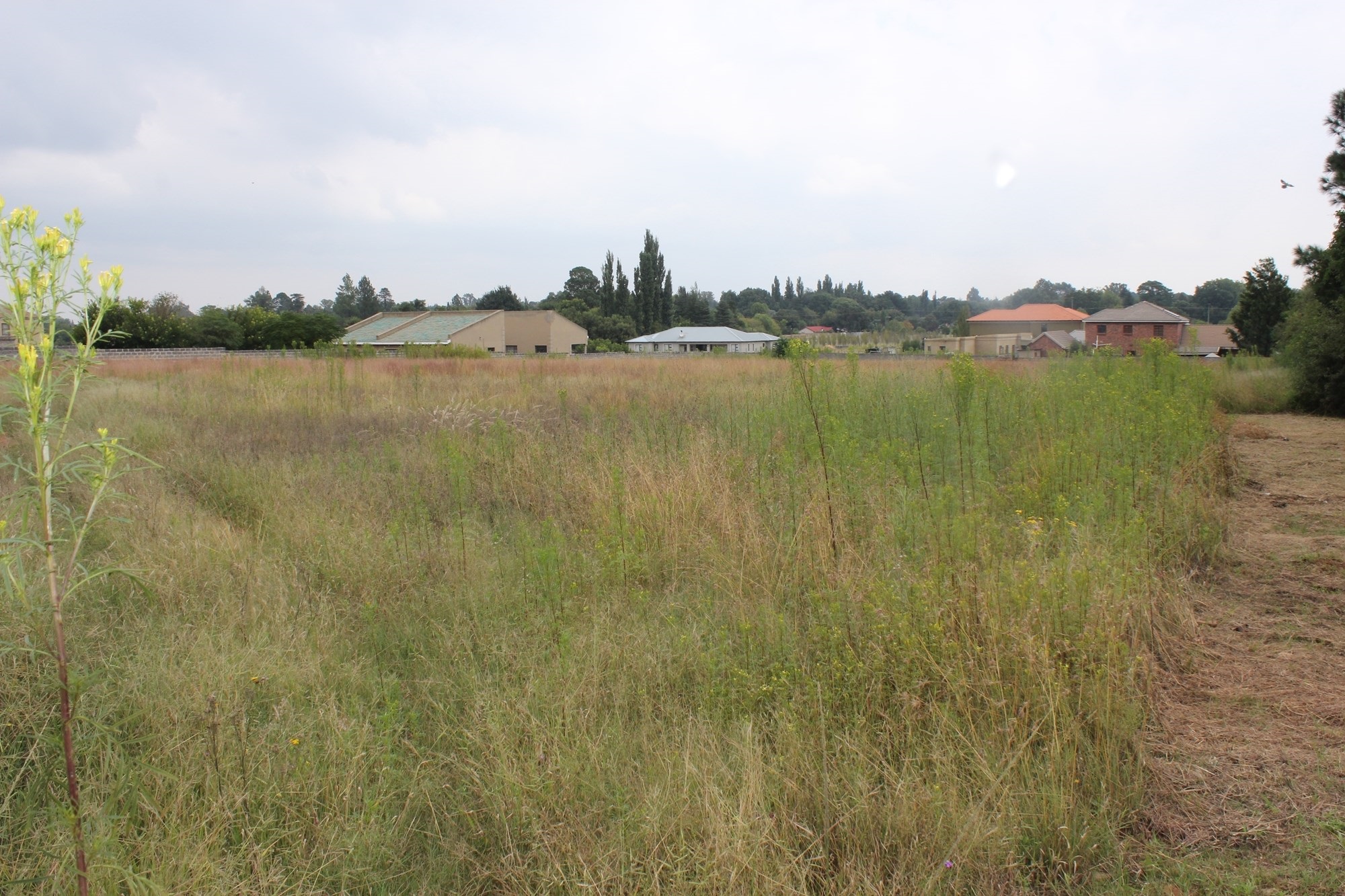 Wonderful opportunity to build your future dream home