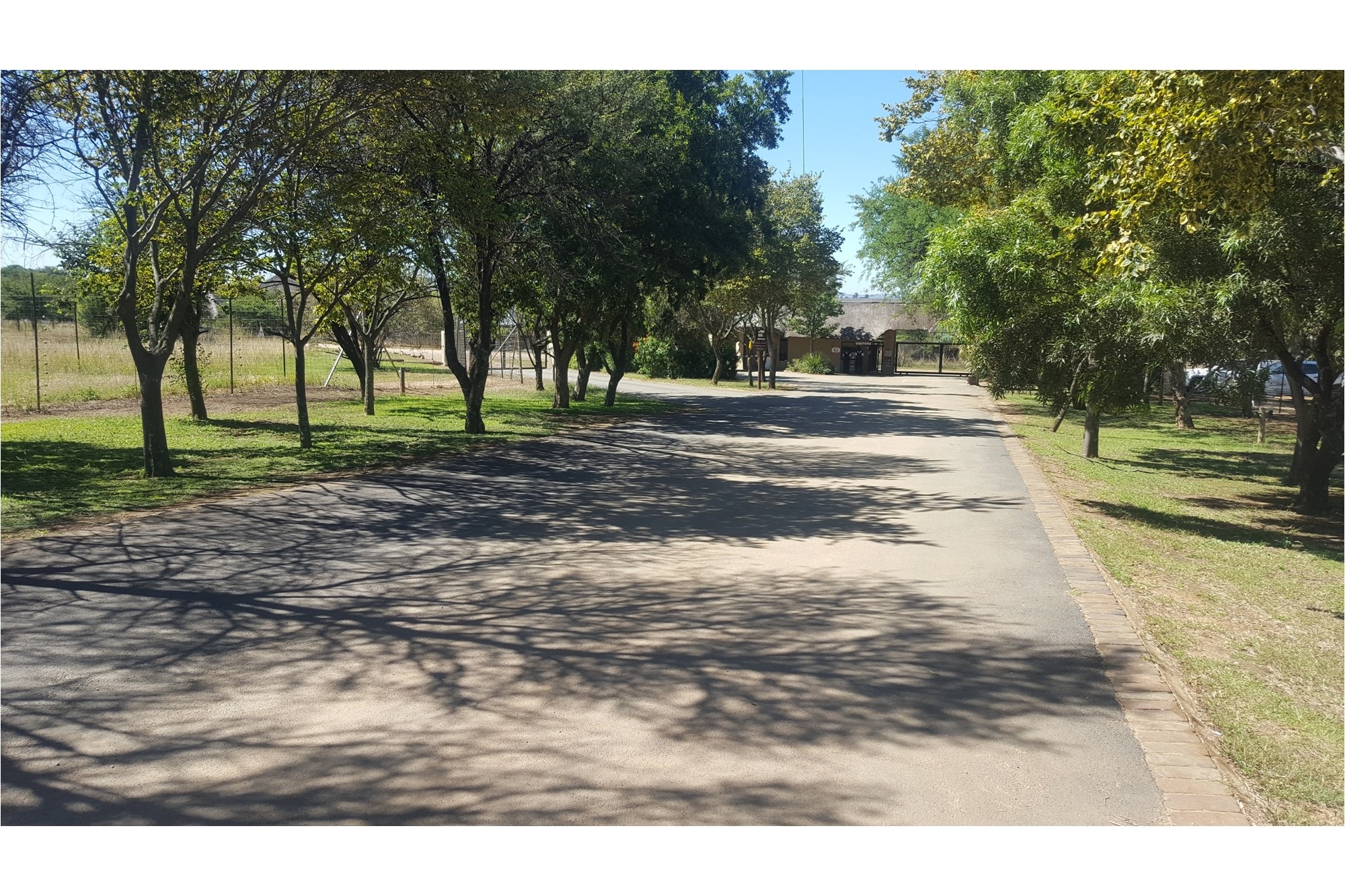 Vacant Land in Exclusive Letamo Game Farm - Cradle of Humankind close to Krugersdorp