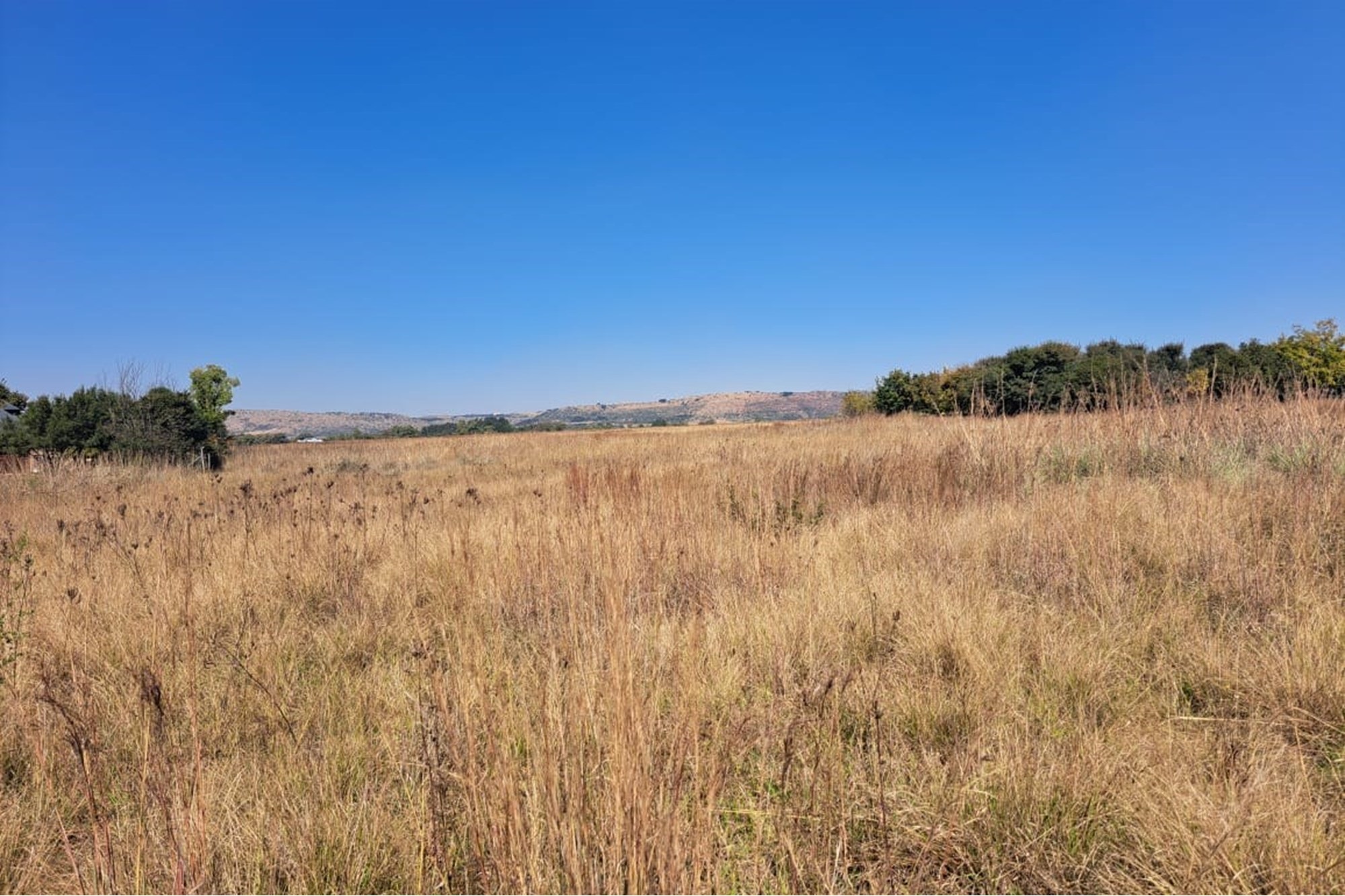 Vacant Land in Exclusive Letamo Game Farm - Cradle of Humankind close to Krugersdorp