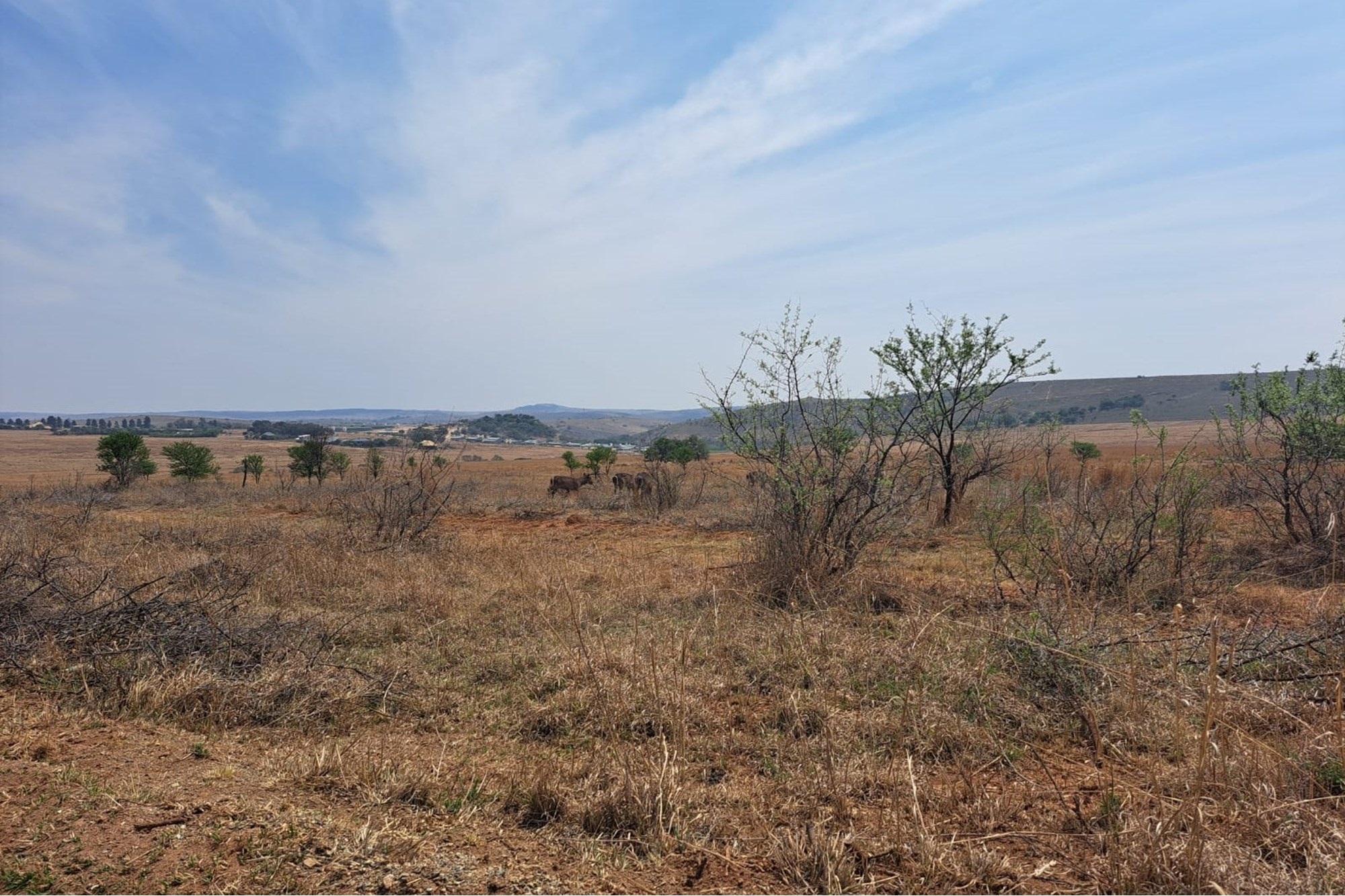 Vacant Land in Exclusive Letamo Game Farm - Cradle of Humankind close to Krugersdorp