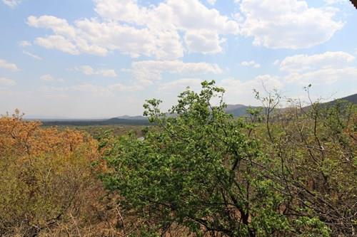 Thaba Moriri - South Africa - South facing vacant stand with spectacular mountain and springbuck fla